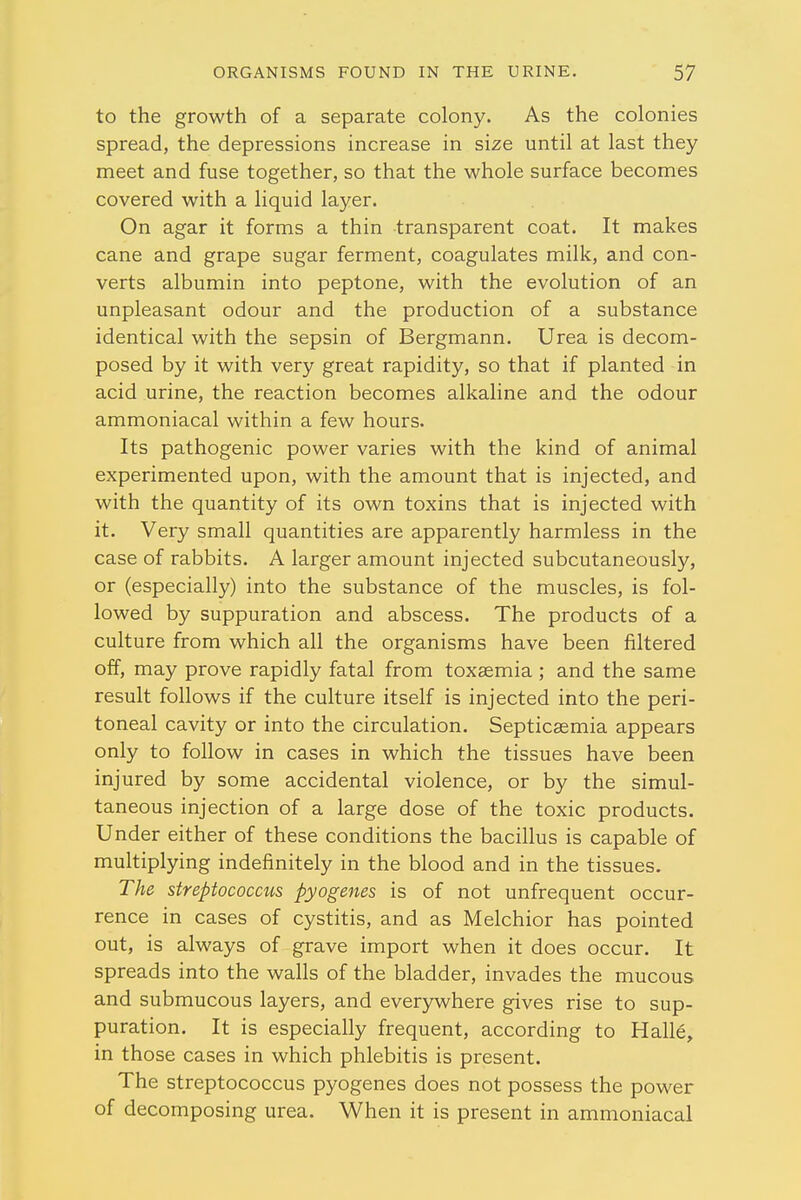 to the growth of a separate colony. As the colonies spread, the depressions increase in size until at last they meet and fuse together, so that the whole surface becomes covered with a liquid layer. On agar it forms a thin transparent coat. It makes cane and grape sugar ferment, coagulates milk, and con- verts albumin into peptone, with the evolution of an unpleasant odour and the production of a substance identical with the sepsin of Bergmann. Urea is decom- posed by it with very great rapidity, so that if planted in acid urine, the reaction becomes alkaline and the odour ammoniacal within a few hours. Its pathogenic power varies with the kind of animal experimented upon, with the amount that is injected, and with the quantity of its own toxins that is injected with it. Very small quantities are apparently harmless in the case of rabbits. A larger amount injected subcutaneously, or (especially) into the substance of the muscles, is fol- lowed by suppuration and abscess. The products of a culture from which all the organisms have been filtered off, may prove rapidly fatal from toxaemia ; and the same result follows if the culture itself is injected into the peri- toneal cavity or into the circulation. Septicaemia appears only to follow in cases in which the tissues have been injured by some accidental violence, or by the simul- taneous injection of a large dose of the toxic products. Under either of these conditions the bacillus is capable of multiplying indefinitely in the blood and in the tissues. The streptococcus pyogenes is of not unfrequent occur- rence in cases of cystitis, and as Melchior has pointed out, is always of grave import when it does occur. It spreads into the walls of the bladder, invades the mucous and submucous layers, and everywhere gives rise to sup- puration. It is especially frequent, according to Halle, in those cases in which phlebitis is present. The streptococcus pyogenes does not possess the power of decomposing urea. When it is present in ammoniacal