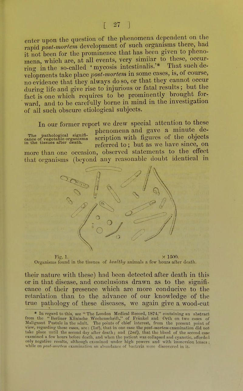 enter upon the question of the phenomena dependent on the rapid post-mor/em development of such organisms there, had it not been for the prominence that has been given to pheno- mena, which are, at all events, very similar to these, occur- ring in the so-called ' mycosis intestinalis.'* That such de- velopments take place post-mortem in some cases, is, of course, no evidence that they always do so, or that they cannot occur during life and give rise to injurious or fatal results; but the fact is one which requires to be prominently brought for- ward, and to be carefully borne in mind in the investigation of all such obscure etiological subjects. In our former report we drew special attention to these phenomena and gave a minute de- cancl oAlSetaMforgSs SCription with figures of the objects in the tissues after death. referred to. but as we have since, on more than one occasion, observed statements to the effect that organisms (beyond any reasonable doubt identical in Fig. 1. x 1500. Organisms Found in the tissues of healthy animals a few hours after death. their nature with these) had been detected after death in this or in that disease, and conclusions drawn as to the signifi- cance of their presence which are more conducive to the retardation than to the advance of our knowledge of the true pathology of these diseases, we again give a wood-cut * In regard to this, see The London Medical Record, 1874, containing an abstract from the Berliner Klinische Wochenschrift, of Priiukel and Orth on two cases of Malignant Pustule in the ndulfc. The points of chief interest, from the present point of view, regarding these cases, are: (1st), that in one case the post-mortem examination did not hike place until the second day after dealh; and (2nd), that the blood of the second case examined a few hours before death, and when the patient was collapsed and cyanotic, afforded only negative results, although examined under hi<;h powers and with immersion lenses ; white on post->i>or/1'in examination an abundance of bacteria were discovered in it-