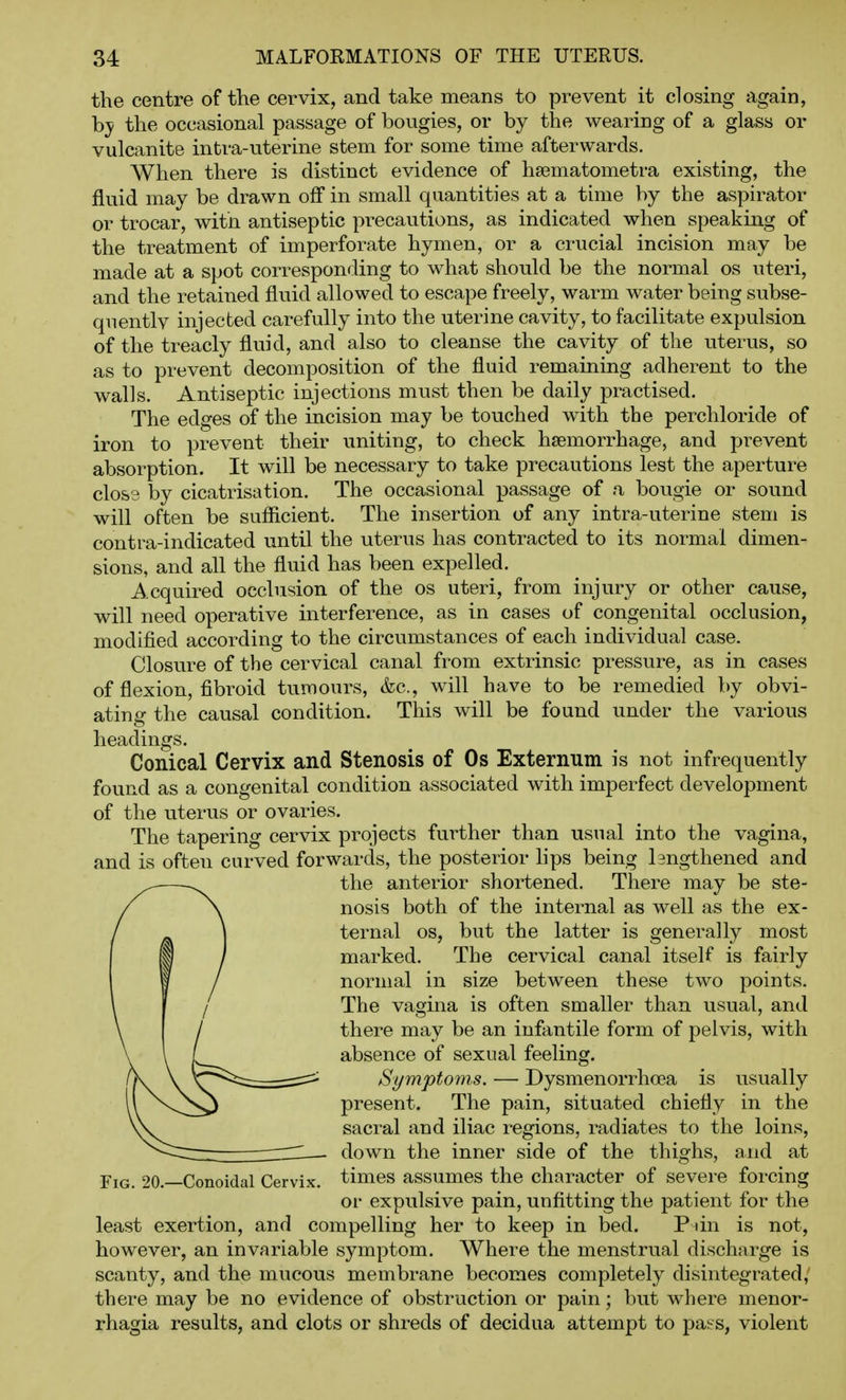 the centre of the cervix, and take means to prevent it closing again, hy the occasional passage of bougies, or by the wearing of a glass or vulcanite intra-uterine stem for some time afterwards. When there is distinct evidence of hsematometra existing, the fluid may be drawn oflf in small quantities at a time by the aspirator or trocar, witn antiseptic precautions, as indicated when speaking of the treatment of imperforate hymen, or a crucial incision may be made at a spot corresponding to what should be the normal os uteri, and the retained fluid allowed to escape freely, warm water being subse- quentlv injected carefully into the uterine cavity, to facilitate expulsion of the treacly fluid, and also to cleanse the cavity of the uterus, so as to prevent decomposition of the fluid remaining adherent to the walls. Antiseptic injections must then be daily practised. The edges of the incision may be touched with the perchloride of iron to prevent their uniting, to check haemorrhage, and prevent absorption. It will be necessary to take precautions lest the aperture close by cicatrisation. The occasional passage of a bougie or sound will often be sufficient. The insertion of any intra-uterine stem is contra-indicated until the uterus has contracted to its normal dimen- sions, and all the fluid has been expelled. Acquired occlusion of the os uteri, from injury or other cause, will need operative interference, as in cases of congenital occlusion, modified according to the circumstances of each individual case. Closure of the cervical canal from extrinsic pressure, as in cases of flexion, flbroid tumours, &c., will have to be remedied by obvi- ating the causal condition. This will be found under the various headings. Conical Cervix and Stenosis of Os Externum is not infrequently found as a congenital condition associated with imperfect development of the uterus or ovaries. The tapering cervix projects further than usual into the vagina, and is often carved forwards, the posterior hps being lengthened and the anterior shortened. There may be ste- nosis both of the internal as well as the ex- ternal OS, but the latter is generally most marked. The cervical canal itself is fairly normal in size between these two points. The vagina is often smaller than usual, and there may be an infantile form of pelvis, with absence of sexual feeling. Symptoms. — Dysmenorrhcea is usually present. The pain, situated chiefly in the sacral and iliac regions, radiates to the loins, down the inner side of the thighs, and at Fig. 20.—Conoidal Cervix, times assumes the character of severe forcing or expulsive pain, unfitting the patient for the least exertion, and compelling her to keep in bed. P an is not, however, an invariable symptom. Where the menstrual discharge is scanty, and the mucous membrane becomes completely disintegrated, there may be no evidence of obstruction or pain; but where menor- rhagia results, and clots or shreds of decidua attempt to pass, violent
