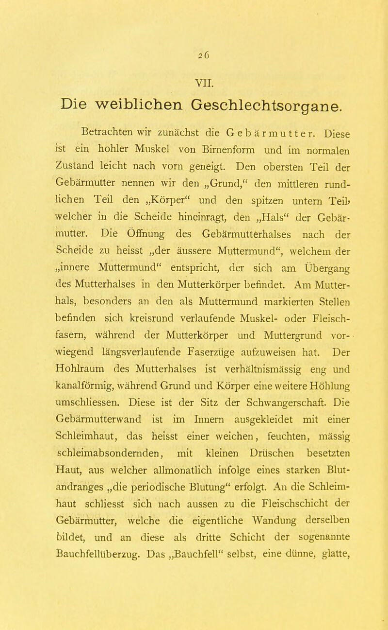 VII. Die weiblichen Geschlechtsorgane. Betrachten wir zunächst die Gebärmutter. Diese ist ein hohler Muskel von Birnenform und im normalen Zustand leicht nach vorn geneigt. Den obersten Teil der Gebärmutter nennen wir den „Grund, den mittleren rund- lichen Teil den „Körper und den spitzen untern Teil» welcher in die Scheide hineinragt, den „Hals der Gebär- mutter. Die Öffnung des Gebärmutterhalses nach der Scheide zu heisst „der äussere Muttermund, welchem der „innere Muttermund entspricht, der sich am Übergang des Mutterhalses in den Mutterkörper befindet. Am Mutter- hals, besonders an den als Muttermund markierten Stellen befinden sich kreisrund verlaufende Muskel- oder Fleisch- fasern, während der Mutterkörper und Muttergrund vor- wiegend längsverlaufende Faserzüge aufzuweisen hat. Der Hohlraum des Mutterhalses ist verhältnismässig eng und kanalförmig, während Grund und Körper eine weitere Höhlung umschliessen. Diese ist der Sitz der Schwangerschaft. Die Gebärmutterwand ist im Innern ausgekleidet mit einer Schleimhaut, das heisst einer weichen, feuchten, massig schleimabsondernden, mit kleinen Drüschen besetzten Haut, aus welcher allmonatlich infolge eines starken Blut- andranges „die periodische Blutung erfolgt. An die Schleim- haut schliesst sich nach aussen zu die Fleischschicht der Gebärmutter, welche die eigentliche Wandung derselben bildet, und an diese als dritte Schicht der sogenannte Bauchfellüberzug. Das „Bauchfell selbst, eine dünne, glatte,