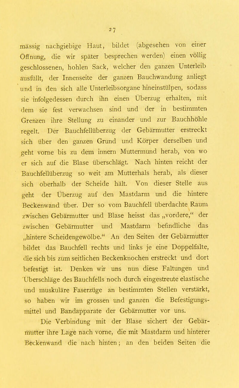 massig nachgiebige Haut, bildet (abgesehen von einer Öffnung, die wir später besprechen werden) einen völlig geschlossenen, hohlen Sack, welcher den ganzen Unterleib ausfüllt, der Innenseite der ganzen Bauchwandung anliegt und in den sich alle Unterleibsorgane hineinstülpen, sodass sie infolgedessen durch ihn einen Überzug erhalten, mit dem sie fest verwachsen sind und der in bestimmten Grenzen ihre Stellung zu einander und zur Bauchhöhle regelt. Der Bauchfellüberzug der Gebärmutter erstreckt sich über den ganzen Grund und Körper derselben und geht vorne bis zu dem innern Muttermund herab, von wo er sich auf die Blase überschlägt. Nach hinten reicht der Bauchfellüberzug so weit am Mutterhals herab, als dieser sich oberhalb der Scheide hält. Von dieser Stelle aus geht der Überzug auf den Mastdarm und die hintere Beckenwand über. Der so vom Bauchfell überdachte Raum zwischen Gebärmutter und Blase heisst das „vordere, der zwischen Gebärmutter und Mastdarm befindliche das „hintere Scheidengewölbe. An den Seiten der Gebärmutter bildet das Bauchfell rechts und links je eine Doppelfalte, die sich bis zum seitlichen Beckenknochen erstreckt und dort befestigt ist. Denken wir uns nun diese Faltungen und Überschläge des Bauchfells noch durch eingestreute elastische und muskuläre Faserzüge an bestimmten Stellen verstärkt, so haben wir im grossen und ganzen die Befestigungs- mittel und Bandapparate der Gebärmutter vor uns. Die Verbindung mit der Blase sichert der Gebär- mutter ihre Lage nach vorne, die mit Mastdarm und hinterer Beckenwand die nach hinten; an den beiden Seiten die