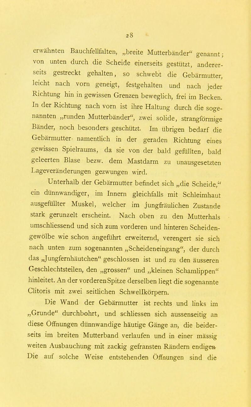 erwähnten Bauchfellfalten, „breite Mutterbänder genannt; von unten durch die Scheide einerseits gestützt, anderer- seits gestreckt gehalten, so schwebt die Gebärmutter, leicht nach vorn geneigt, festgehalten und nach jeder Richtung hin in gewissen Grenzen beweglich, frei im Becken. In der Richtung nach vorn ist ihre Haltung durch die soge- nannten „runden Mutterbänder, zwei solide, strangförmige Bänder, noch besonders geschützt. Im übrigen bedarf die Gebärmutter- namentlich in der geraden Richtung eines gewissen Spielraums, da sie von der bald gefüllten, bald geleerten Blase bezw. dem Mastdarm zu unausgesetzten Lageveränderungen gezwungen wird. Unterhalb der Gebärmutter befindet sich „die Scheide, ein dünnwandiger, im Innern gleichfalls mit Schleimhaut ausgefüllter Muskel, welcher im jungfräulichen Zustande stark gerunzelt erscheint. Nach oben zu den Mutterhals umschliessend und sich zum vorderen und hinteren Scheiden- gewölbe wie schon angeführt erweiternd, verengert sie sich nach unten zum sogenannten „Scheideneingang, der durch das „Jungfernhäutchen geschlossen ist und zu den äusseren Geschlechtsteilen, den „grossen und „kleinen Schamlippen hinleitet. An der vorderen Spitze derselben liegt die sogenannte Clitoris mit zwei seitlichen Schwellkörpern. Die Wand der Gebärmutter ist rechts und links im „Grunde durchbohrt, und schliessen sich aussenseitig an diese Öffnungen dünnwandige häutige Gänge an, die beider- seits im breiten Mutterband verlaufen und in einer mässig weiten Ausbauchung mit zackig gefransten Rändern endige» Die auf solche Weise entstehenden Öffnungen sind die