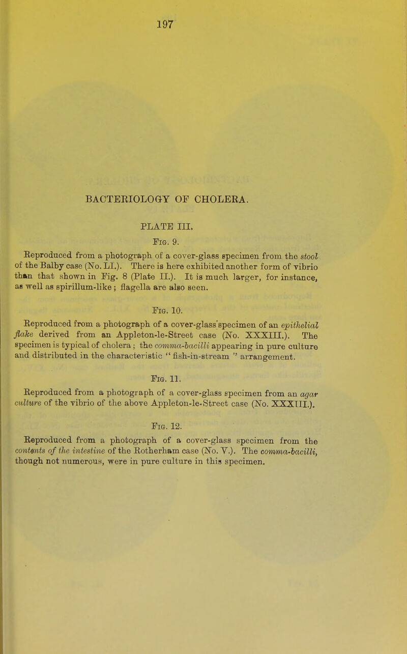 BAOTEEIOLOGY OF CHOLERA. PLATE in. 9. Eeproduced from a photograpli of a cover-glass specimen from the stool of the Balby case (No. LI.)- There is here exhibited another form of vibrio than that shown in Tig. 8 (Plate II.). It is much larger, for instance, as well as spirillum-like; flagella are also seen. Fig. 10. Eeproduced from a photograph of a cover-glass'specimen of an epithelial flake derived from an Appleton-le-Street case (No. XXXIIL). The specimen is typical of cholera ; the comma-iacilli appearing in pure culture and distributed in the characteristic  fish-in-stream  arrangement. Fig. 11. Eeproduced from a photograph of a cover-glass specimen from an agar culture of the vibrio of the above Appleton-le-Street case (No. XXXIIL). Fig. 12. Eeproduced from a photograph of a cover-glass specimen from the contents of the intestine of the Eotherham case (No. V.). The co'mma'bacilli, though not numerous, were in pure culture in this specimen.