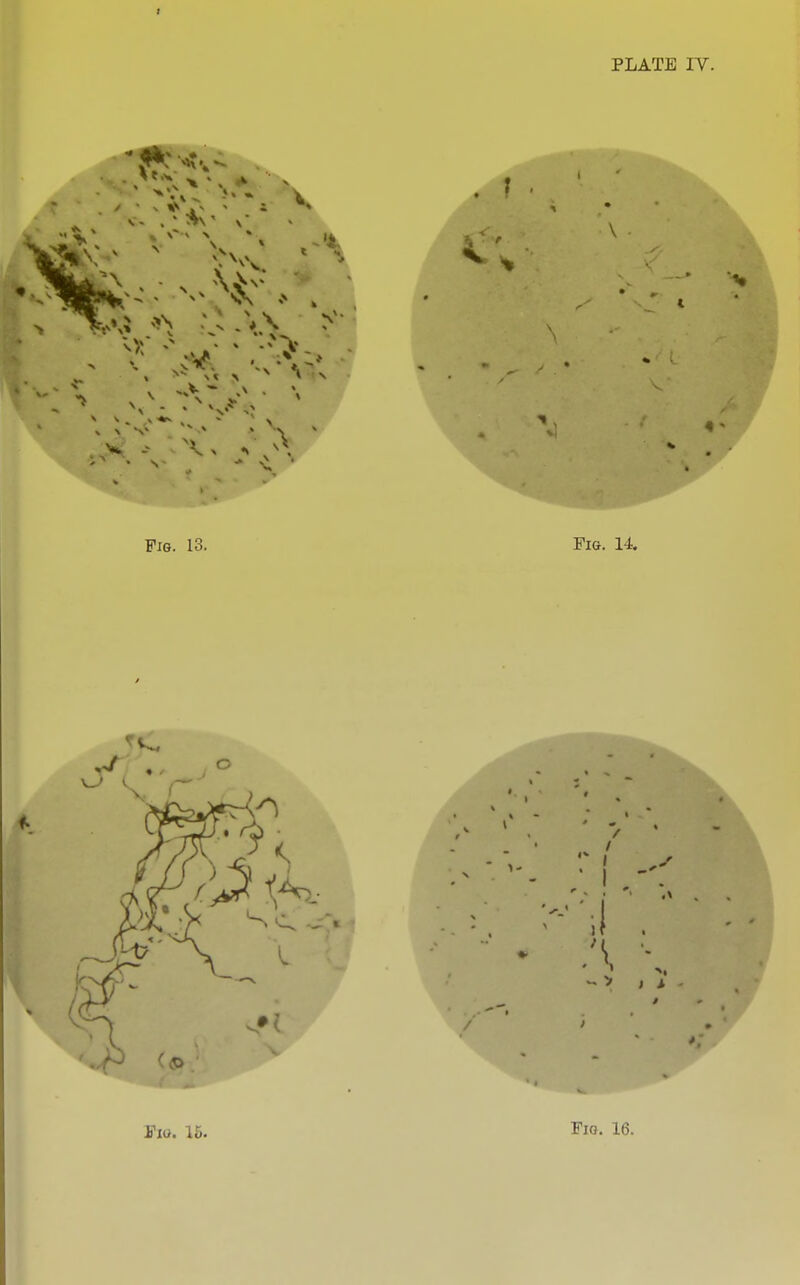 , ^- VI > ^ A \ 1 if