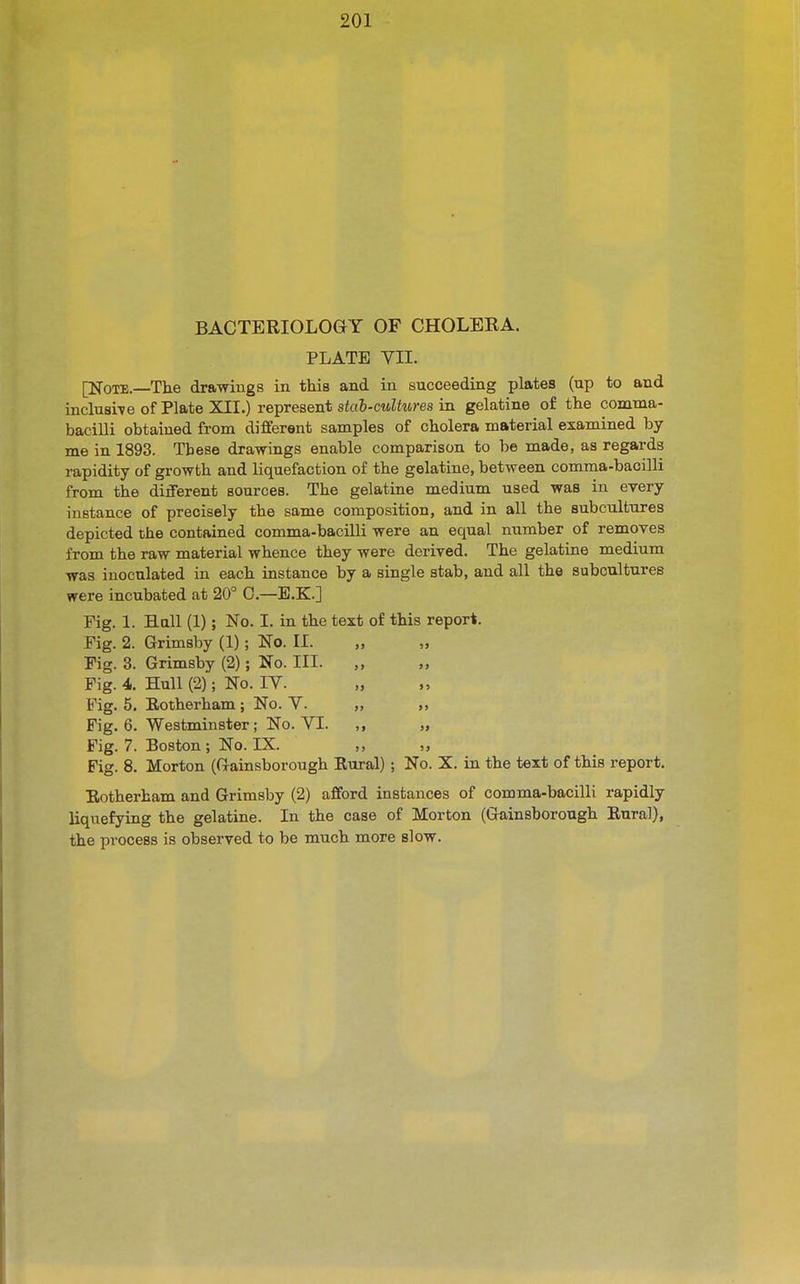 BACTERIOLOGY OF CHOLERA. PLATE YII. [Note.—The drawings in this and in succeeding plates (up to and inclusi-ve of Plate XII,) represent s<ab-ctt?f«res in gelatine of the comma- baciUi obtained from different samples of cholera material examined by me in 1893. These dra-wings enable comparison to be made, as regards rapidity of growth and liquefaction of the gelatine, between comma-bacilli from the different sources. The gelatine medium used was in every instance of precisely the same composition, and in all the subcultures depicted the contained comma-bacilli were an equal number of removes from the raw material whence they were derived. The gelatine medium was inoculated in each instance by a single stab, and all the subcultures were incubated at 20° 0.—E.K.] Fig. 1. Hall (1); No. I. in the text of this report. Fig. 2. Grimsby (1); No. II. Fig. 3. Grimsby (2); No. III. ,, „ Fig. 4. Hull (2); No. lY. Fig. 5. Eotherham; No. Y. „ Fig. 6. Westminster; No. YI. „ Fig. 7. Boston ; No. IX. ,, „ Fig. 8. Morton (Gainsborough Eural); No. X. in the text of this report. Eotherham and Grimsby (2) afford instances of comma-bacilli rapidly liquefying the gelatine. In the case of Morton (Gainsborough Eural), the process is observed to be much more slow.