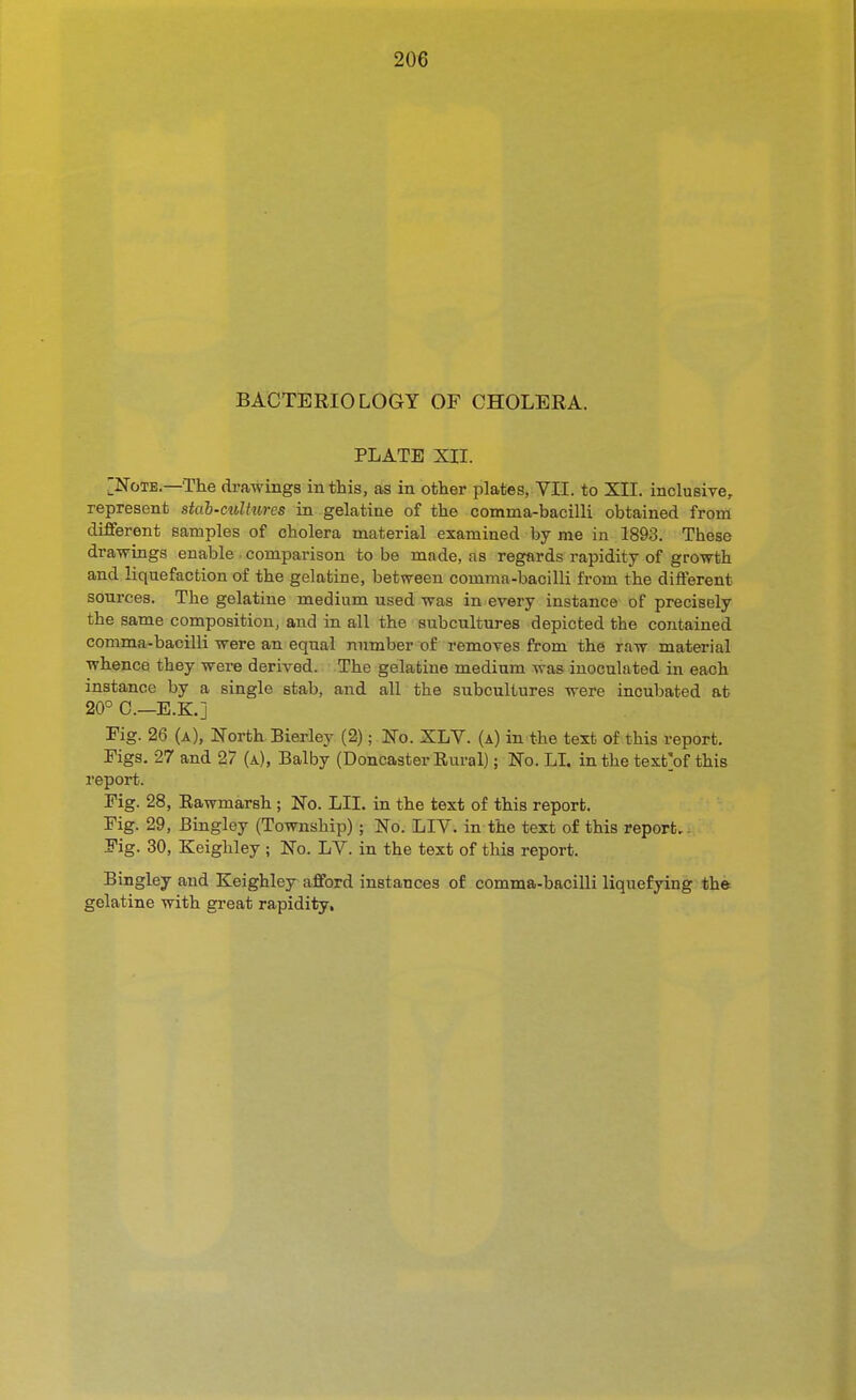 BACTERIOLOGY OF CHOLERA. PLATE XII. [Note.—The drawings in this, as in other plates, VII. to XII. inclusive, represent stab-cultures in gelatine of the comma-bacilli obtained from different samples of cholera material examined by me in 1893. These drawings enable comparison to be made, as regards rapidity of growth and liquefaction of the gelatine, between comma-bacilli from the different sources. The gelatine medium used was in every instance of precisely the same composition, and in all the subcultures depicted the contained comma-bacilli were an equal number of removes from the raw material whence they were derived. The gelatine medium was inoculated in each instance by a single stab, and all the subcultures were incubated at 20° 0.—E.K.] Fig. 26 (a). North Bierley (2); No. XLV. (a) in the text of this report. Figs. 27 and 27 (a), Balby (Doncaster Rural); No. LL in the text'of this report. Fig. 28, Eawmarsh ; No. LII. in the text of this report. Fig. 29, Bingley (Township) ; No. LIV. in the text of this report,. Fig. 30, Keighley ; No. LV. in the text of this report. Bingley and Keighley afford instances of comma-bacilli liquefying the gelatine with great rapidity,