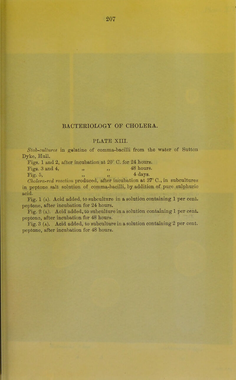 BACTERIOLOGY OF CHOLERA. PLATE XIII. Stah-culiures in gelatine of comma-bacilli from tlie water of Sutton Dyke, Hull. rigs. 1 and 2, after incubation at 20° 0. for 24 hours. rigs. 3 and 4, „ 48 hours. Fig. 5, „ „ 4 days. Glwlera-red reaction produced, after incubation at 37° C, in subcultures in peptone salt solution of comma-bacilli, by addition of pure sulphuric acid. Fig. 1 (a). Acid added, to subculture in a solution containing 1 per cenfe. peptone, after incubation for 24 hours. Fig. 8 (a). Acid added, to subculture in a solution containing 1 per cent, peptone, after incubation for 48 hours. Fig. 3 (a). Acid added, to subculture in a solution containing 2 per cent, peptone, after incubation for 48 hours.