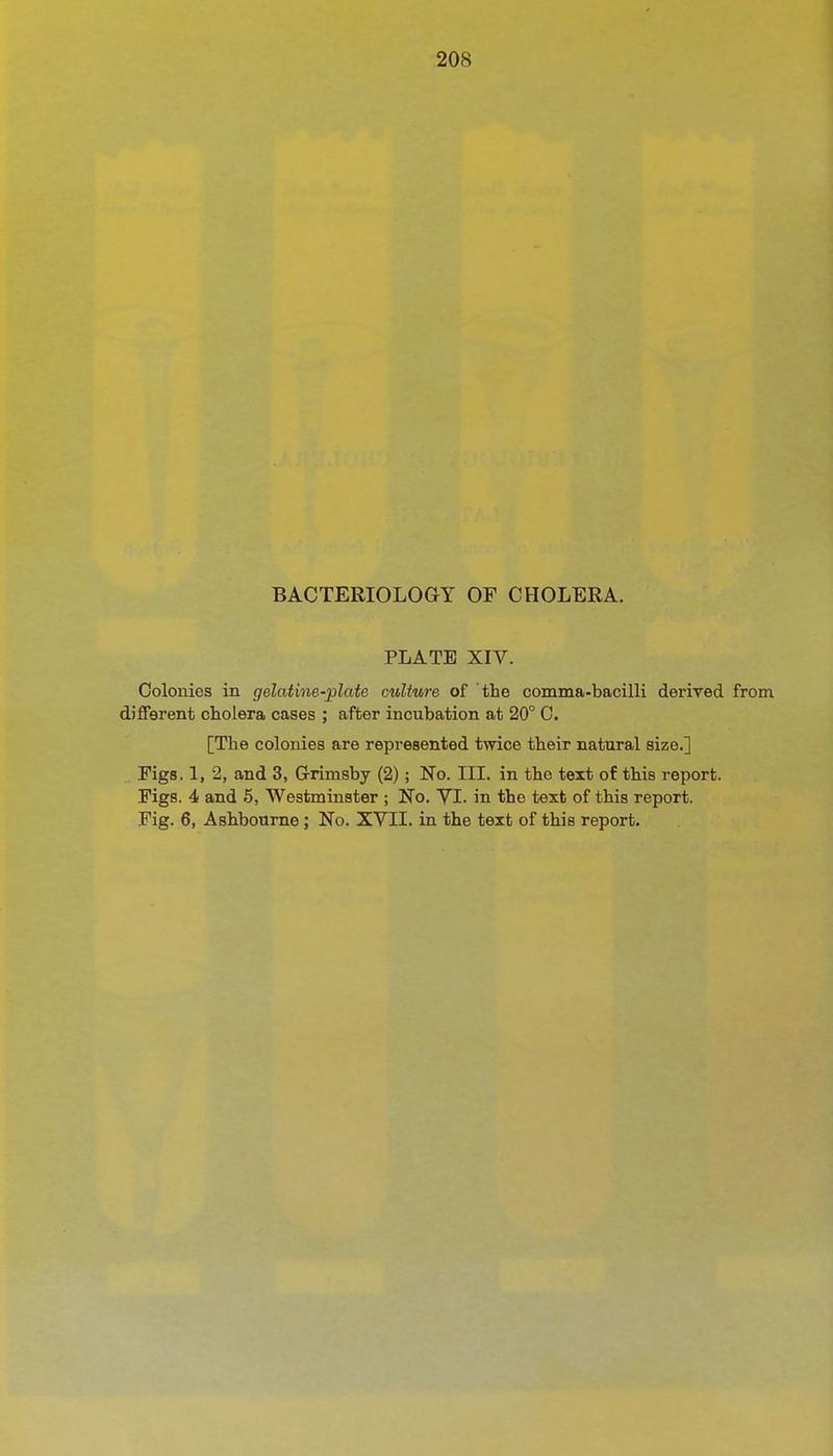 BACTERIOLOGY OF CHOLERA. PLATE XIV. Colonies in gelatine-plate cultwe of the comma-bacilli derived from different cholera cases ; after incubation at 20° 0. [The colonies are represented twice their natural size.] Figs. 1, 2, and 3, G-rimsby (2); No. III. in the text of this report. Figs. 4 and 5, Westminster ; No. YI. in the text of this report. Fig. 6, Ashbourne; No. XVII. in the text of this report.