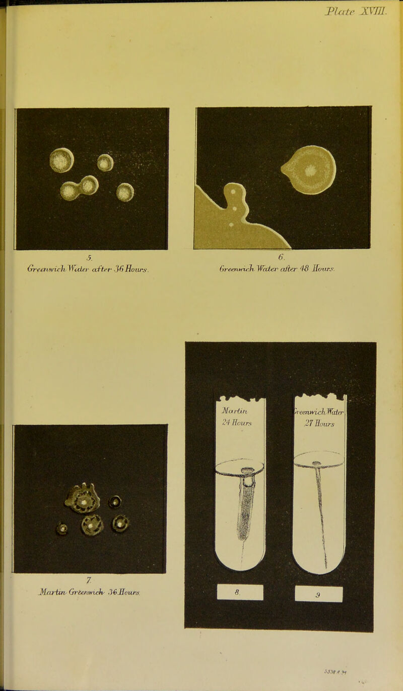 J>lalr XVni. I ss:is / .*f