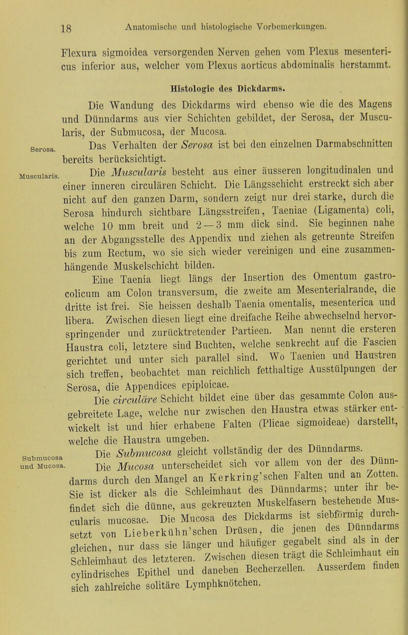 Serosa. Muscularis. Flexnra sigmoidea versorgenden Nerven gehen vom Plexus mesenteri- cus inferior aus, welcher vom Plexus aorticus abdominalis herstammt. Histologie des Dickdarms. Die Wandung des Dickdarms wird ebenso wie die des Magens und Dünndarms aus vier Schichten gebildet, der Serosa, der Muscu- laris, der Submucosa, der Mucosa. Das Verhalten der Serosa ist bei den einzelnen Darmabschnitten bereits berücksichtigt. Die Muscularis besteht aus einer äusseren longitudinalen und einer inneren circulären Schicht. Die Längsschicht erstreckt sich aber nicht auf den ganzen Darm, sondern zeigt nur drei starke, durch die Serosa hindurch sichtbare Längsstreifen, Taeniae (Ligamenta) coli, welche 10 mm breit und 2 — 3 mm dick sind. Sie beginnen nahe an der Abgangsstelle des Appendix und ziehen als getrennte Streifen bis zum Rectum, wo sie sich wieder vereinigen und eine zusammen- hängende Muskelschicht bilden. Eine Taenia liegt längs der Insertion des Omentum gastro- colicum am Colon transversum, die zweite am Mesenterialrande, die dritte ist frei. Sie heissen deshalb Taenia omentalis, mesenterica und libera. Zwischen diesen liegt eine dreifache Reihe abwechselnd hervor- springender und zurücktretender Partieen. Man nennt die ersteren Haustra coli, letztere sind Buchten, welche senkrecht auf die Fascien gerichtet und unter sich parallel sind. Wo Taenien und Haustren sich treffen, beobachtet man reichlich fetthaltige Ausstülpungen der Serosa, die Appendices epiploicae. Die circuläre Schicht bildet eine über das gesammte Colon aus- gebreitete Lage, welche nur zwischen den Haustra etwas stärker ent- wickelt ist und hier erhabene Falten (Plicae sigmoideae) darstellt, welche die Haustra umgeben. submUcosa Die Submucosa gleicht vollständig der des Dünndarms. SDie MuCosa unterscheidet sich vor allem von der des Dünn- darms durch den Mangel an Kerkring'schen Falten und an Zotten. Sie ist dicker als die Schleimhaut des Dünndarms; unter ihr be- findet sich die dünne, aus gekreuzten Muskelfasern bestehende Mus- cularis mucosae. Die Mucosa des Dickdarms ist siebförmig durch- setzt von Lieberkühn'schen Drüsen, die jenen des Dünndarms gleichen, nur dass sie länger und häufiger gegabelt sind als m der Ichleimhaut des letzteren. Zwischen diesen trägt die Schleimhaut m cylindrisches Epithel und daneben Becherzellen. Ausserdem finden sich zahlreiche solitäre Lymphknötchen.