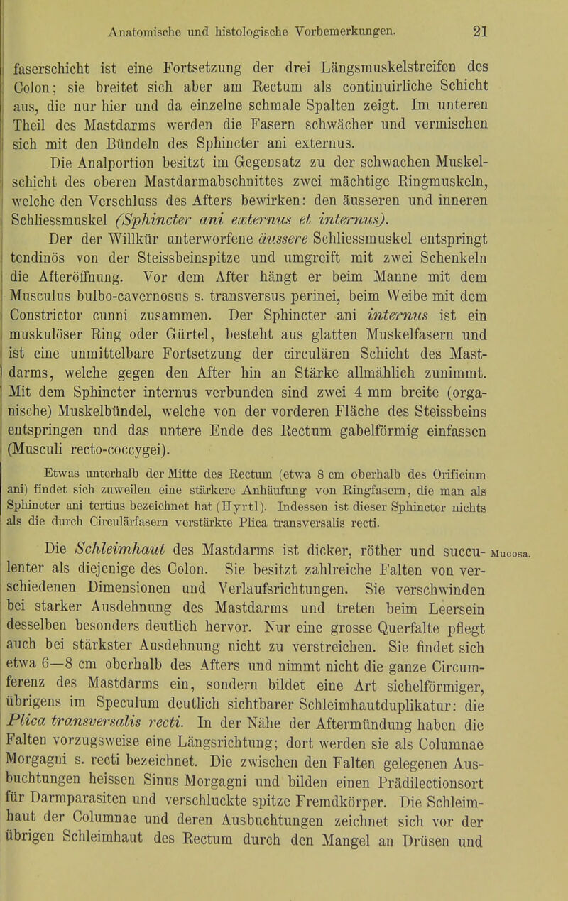 faserschicht ist eine Fortsetzung der drei Längsmuskelstreifen des Colon; sie breitet sich aber am Eectum als continuirliche Schicht aus, die nur hier und da einzelne schmale Spalten zeigt. Im unteren Theil des Mastdarms werden die Fasern schwächer und vermischen sich mit den Bündeln des Sphincter ani externus. Die Analportion besitzt im Gegensatz zu der schwachen Muskel- schicht des oberen Mastdarmabschnittes zwei mächtige Kingmuskeln, welche den Verschluss des Afters bewirken: den äusseren und inneren Schliessmuskel (Sphincter ani externus et internus). Der der Willkür unterworfene äussere Schliessmuskel entspringt tendinös von der Steissbeinspitze und umgreift mit zwei Schenkeln die Afteröffnimg. Vor dem After hängt er beim Manne mit dem Musculus bulbo-cavernosus s. transversus perinei, beim Weibe mit dem Constrictor cunni zusammen. Der Sphincter ani internus ist ein muskulöser King oder Gürtel, besteht aus glatten Muskelfasern und ist eine unmittelbare Fortsetzung der circulären Schicht des Mast- darms, welche gegen den After hin an Stärke allmählich zunimmt. Mit dem Sphincter internus verbunden sind zwei 4 mm breite (orga- nische) Muskelbündel, welche von der vorderen Fläche des Steissbeins I entspringen und das untere Ende des Rectum gabelförmig einfassen i (Musculi recto-coccygei). Etwas unterhalb der Mitte des Rectum (etwa 8 cm oberhalb des Orificium ani) findet sich zuweilen eine stärkere Anhäufung von Ringfasem, die man als Sphincter ani tertius bezeichnet hat (Hyrtl). Indessen ist dieser Sphincter nichts als die durch Circulärfasern verstärkte Plica transversalis recti. Die Schleimhaut des Mastdarms ist dicker, röther und succu- Mucosa. lenter als diejenige des Colon. Sie besitzt zahlreiche Falten von ver- schiedenen Dimensionen und Verlaufsrichtungen. Sie verschwinden bei starker Ausdehnung des Mastdarms und treten beim Leersein desselben besonders deutlich hervor. Nur eine grosse Querfalte pflegt auch bei stärkster Ausdehnung nicht zu verstreichen. Sie findet sich etwa 6—8 cm oberhalb des Afters und nimmt nicht die ganze Circum- ferenz des Mastdarms ein, sondern bildet eine Art sichelförmiger, übrigens im Speculum deutlich sichtbarer Schleimhautduplikatur: die Plica transversalis recti. In der Nähe der Aftermündung haben die Falten vorzugsweise eine Längsrichtung; dort werden sie als Columnae Morgagni s. recti bezeichnet. Die zwischen den Falten gelegenen Aus- buchtungen heissen Sinus Morgagni und bilden einen Prädilectionsort für Darmparasiten und verschluckte spitze Fremdkörper. Die Schleim- haut der Columnae und deren Ausbuchtungen zeichnet sich vor der übrigen Schleimhaut des Kectum durch den Mangel an Drüsen und