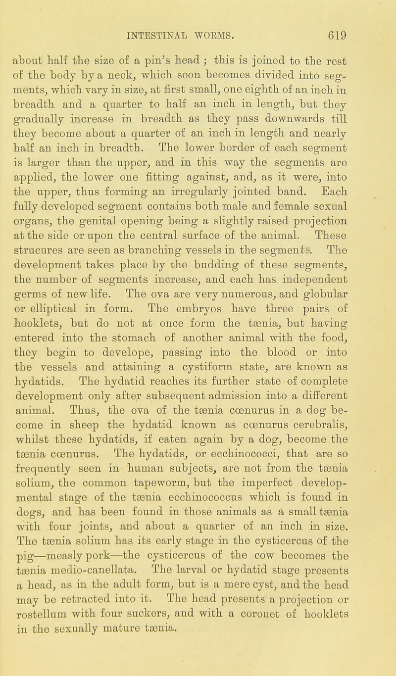 about half the size of a pin's head ; this is joined to the rest of the body by a neck, which soon becomes divided into seg- ments, which vary in size, at first small, one eighth of an inch in breadth and a quarter to half an inch in length, but they gradually increase in breadth as they pass downwards till they become about a quarter of an inch in length and nearly half an inch in breadth. The lower border of each segment is larger than the upper, and in this way the segments are applied, the lower one fitting against, and, as it were, into the upper, thus forming an irregularly jointed band. Bach fully developed segment contains both male and female sexual organs, the genital opening being a slightly raised projection at the side or upon the central surface of the animal. These strucures are seen as branching vessels in the segments. The development takes place by the budding of these segments, the number of segments increase, and each has independent germs of new life. The ova are very numerous, and globular or elliptical in form. The embryos have three pairs of booklets, but do not at once form the taenia, but having entered into the stomach of another animal with the food, they begin to develope, passing into the blood or into the vessels and attaining a cystiform state, are known as hydatids. The hydatid reaches its further state of complete development only after subsequent admission into a different animal. Thus, the ova of the taenia coenurus in a dog be- come in sheep the hydatid known as coenurus cerebralis, whilst these hydatids, if eaten again by a dog, become the taenia coenurus. The hydatids, or ecchinococci, that are so frequently seen in human subjects, are not from the taenia solium, the common tapeworm, but the imperfect develop- mental stage of the taenia ecchinococcus which is found in dogs, and has been found in those animals as a small taenia with four joints, and about a quarter of an inch in size. The taenia solium has its early stage in the cysticercus of the pig—measly pork—the cysticercus of the cow becomes the taenia medio-canellata. The larval or hydatid stage presents a head, as in the adult form, but is a mere cyst, and the head may be retracted into it. The head presents a projection or rostellum with four suckers, and with a coronet of booklets in the sexually mature taenia.