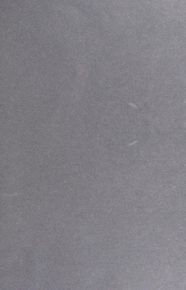 digitised image 3