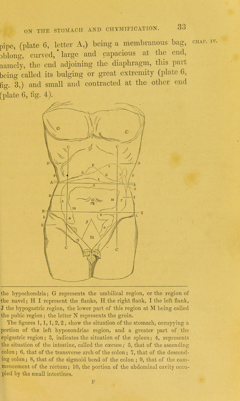 pipe, (plate 6, letter A,) being a membranous bag, Dblong, curved,' large and capacious at the end, [lamely, the end adjoining the diaphragm, tliis part being called its bulging or great extremity (plate 6, fio-, 3,) and small and contracted at the other end (plate 6, fig. 4). the hypochondria; G represents the umbilical region, or the region of the navel; H I represent the flanks, H the right flank, I the left flank, J the hypogastric region, the lower part of this region at M being called the pubic region ; the letter N represents the groin. The figures 1, 1, 1, 2, 2 , show the situation of the stomach, occupying a portion of the left hypocondriac region, and a greater part of the epigastric region; 3, indicates the situation of the spleen; 4, represents the situation of the intestine, called the coecuni; 5, that of the ascending colon ; 6, that of the transverse arch of the colon ; 7, that of the descend- ing colon; 8, that of the sigmoid bend of the colon ; 9, that of the com- mencement of the rectum; 10, the portion of the abdominal cavity occu- pied by the small intestines. F