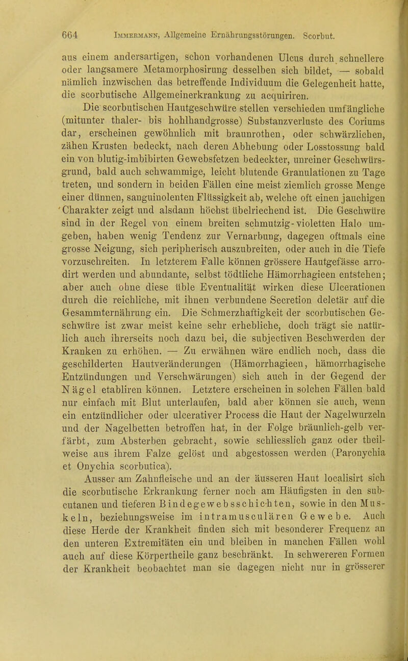 aus einem andersartigen, schon vorhandenen Ulcus durch schnellere oder langsamere Metamorphosirung desselhen sich bildet, — sobald nämlich inzwischen das betreffende Individuum die Gelegenheit hatte, die scorbutische Allgemeinerkrankung zu acquiriren. Die scorbutischen Hautgeschwüre stellen verschieden umfängliche (mitunter thaler- bis hohlhandgrosse) Substanzverluste des Coriums dar, erscheinen gewöhnlich mit braunrothen, oder schwärzlichen, zähen Krusten bedeckt, nach deren Abhebung oder Losstossung bald ein von blutig-imbibirten Gewebsfetzen bedeckter, unreiner Geschwürs- grund, bald auch schwammige, leicht blutende Granulationen zu Tage treten, und sondern in beiden Fällen eine meist ziemlich grosse Menge einer dünnen, sanguinolenten Flüssigkeit ab, welche oft einen jauchigen ' Charakter zeigt und alsdann höchst übelriechend ist. Die Geschwüre sind in der Kegel von einem breiten schmutzig-violetten Halo um- geben, haben wenig Tendenz zur Vernarbung, dagegen oftmals eine grosse Neigung, sich peripherisch auszubreiten, oder auch in die Tiefe vorzuschreiten. In letzterem Falle können grössere Hautgefässe ärro- dirt werden und abundante, selbst tödtliche Hämorrhagieen entstehen; aber auch ohne diese üble Eventualität wirken diese Ulcerationen durch die reichliche, mit ihnen verbundene Secretion deletär auf die Gesammternährung ein. Die Schmerzhaftigkeit der scorbutischen Ge- schwüre ist zwar meist keine sehr erhebliche, doch trägt sie natür- lich auch ihrerseits noch dazu bei, die subjectiven Beschwerden der Kranken zu erhöhen. — Zu erwähnen wäre endlich noch, dass die geschilderten Hautveränderungen (Hämorrhagieen, hämorrhagische Entzündungen und Verschwärungen) sich auch in der Gegend der N ägel etabliren können. Letztere erscheinen in solchen Fällen bald nur einfach mit Blut unterlaufen, bald aber können sie auch, wenn ein entzündlicher oder ulcerativer Process die Haut der Nagelwurzeln und der Nagelbetten betroffen hat, in der Folge bräunlich-gelb ver- färbt, zum Absterben gebracht, sowie schliesslich ganz oder tbeil- weise aus ihrem Falze gelöst und abgestossen werden (Paronychia et Onychia scorbutica). Ausser am Zahnfleische und an der äusseren Haut localisirt sich die scorbutische Erkrankung ferner noch am Häufigsten in den sub- cutanen und tieferen Bindegewebsschic-hten, sowie in den Mus- keln, beziehungsweise im intramusculären Gewebe. Auch diese Herde der Krankheit finden sich mit besonderer Frequenz an den unteren Extremitäten ein und bleiben in manchen Fällen wohl auch auf diese Körpertheile ganz beschränkt. In schwereren Formen der Krankheit beobachtet man sie dagegen nicht nur in grösserer