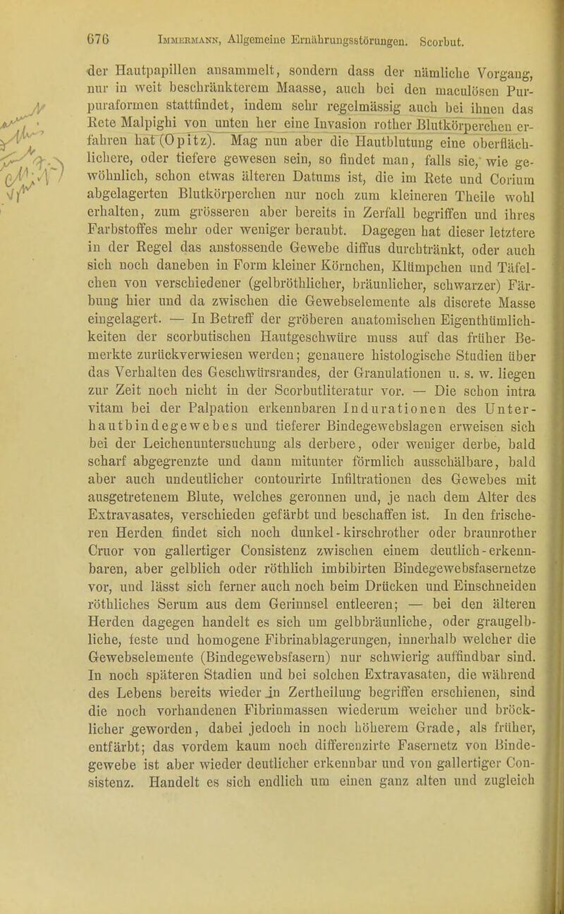 der Hautpapillen ansammelt, sondern dass der nämliche Vorgang, nur in weit beschränkterem Maasse, auch bei den maculösen Pur- puraformen stattfindet, indem sehr regelmässig auch bei ihnen das Kete Malpighi von unten her eine Invasion rother Blutkörperchen er- fahren hat (Opitz). Mag nun aber die Hautblutung eine oberfläch- lichere, oder tiefere gewesen sein, so findet man, falls sie, wie ge- wöhnlich, schon etwas älteren Datums ist, die im Rete und Coriuin abgelagerten Blutkörperchen nur noch zum kleineren Theile wohl erhalten, zum grösseren aber bereits in Zerfall begriffen und ihres Farbstoffes mehr oder weniger beraubt. Dagegen hat dieser letztere in der Regel das anstossende Gewebe diffus durchtränkt, oder auch sich noch daneben in Form kleiner Körnchen, Klümpchen und Täfel- chen von verschiedener (gelbröthlicher, bräunlicher, schwarzer) Fär- bung hier und da zwischen die Gewebselemente als discrete Masse eingelagert. — In Betreff der gröberen anatomischen Eigentümlich- keiten der scorbutischen Hautgeschwüre inuss auf das früher Be- merkte zurückverwiesen werden; genauere histologische Studien über das Verhalten des Geschwürsrandes, der Granulationen u. s. w. liegen zur Zeit noch nicht in der Scorbutliteratur vor. — Die schon intra vitam bei der Palpation erkennbaren Indurationen des Unter- bau tb in degewebes und tieferer Bindegewebslagen erweisen sich bei der Leichenuntersuchung als derbere, oder weniger derbe, bald scharf abgegrenzte und dann mitunter förmlich ausschälbare, bald aber auch undeutlicher contourirte Infiltrationen des Gewebes mit ausgetretenem Blute, welches geronnen und, je nach dem Alter des Extravasates, verschieden gefärbt und beschaffen ist. In den frische- ren Herden findet sich noch dunkel - kirschrother oder braunrother Cruor von gallertiger Consistenz zwischen einem deutlieh-erkenn- baren, aber gelblich oder röthlich imbibirten Bindegewebsfasernetze vor, und lässt sich ferner auch noch beim Drücken und Einschneiden röthliches Serum aus dem Gerinnsel entleeren; — bei den älteren Herden dagegen handelt es sich um gelbbräunliche, oder graugelb- liche, teste und homogene Fibrinablagerungen, innerhalb welcher die Gewebselemente (Bindegewebsfasern) nur schwierig auffindbar sind. In noch späteren Stadien und bei solchen Extravasaten, die während des Lebens bereits wieder jn Zertheilung begriffen erschienen, sind die noch vorhandenen Fibrimnassen wiederum weicher und bröck- licher .geworden, dabei jedoch in noch höherem Grade, als früher, entfärbt; das vordem kaum noch differeuzirte Fasernetz von Binde- gewebe ist aber wieder deutlicher erkennbar und von gallertiger Con- sistenz. Handelt es sich endlich um einen ganz alten und zugleich