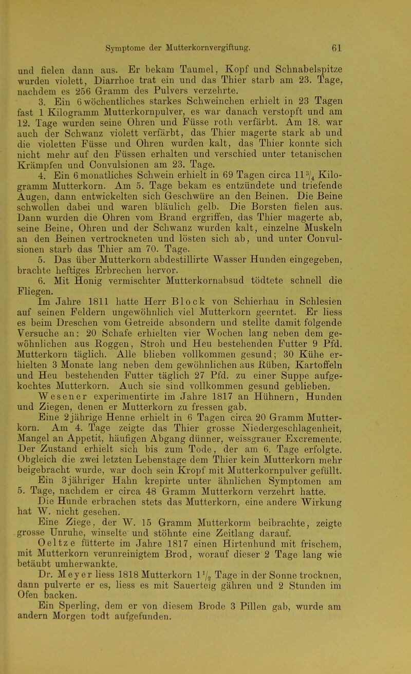 und fielen dann aus. Er bekam Taumel, Kopf und Schnabelspitze wurden violett, Diarrhoe trat ein und das Thier starb am 23. Tage, nachdem es 256 Gramm des Pulvers verzehrte. 3. Ein 6 wöchentliches starkes Schweinchen erhielt in 23 Tagen fast 1 Kilogramm Mutterkornpulver, es war danach verstopft und am 12. Tage wurden seine Ohren und Füsse rotli verfärbt. Am 18. war auch der Schwanz violett verfärbt, das Thier magerte stark ab und die violetten Füsse und Ohren wurden kalt, das Thier konnte sich nicht mehr auf den Füssen erhalten und verschied unter tetanischen Krämpfen und Convulsionen am 23. Tage. 4. Ein 6 monatliches Schwein erhielt in 69 Tagen circa 11 ^/^ Kilo- gramm Mutterkorn. Am 5. Tage bekam es entzündete und triefende Augen, dann entwickelten sich Geschwüre an den Beinen. Die Beine schwollen dabei und waren bläulich gelb. Die Borsten fielen aus. Dann wurden die Ohren vom Brand ergriffen, das Thier magerte ab, seine Beine, Ohren und der Schwanz wurden kalt, einzelne Muskeln an den Beinen vertrockneten und lösten sich ab, und unter Convul- sionen starb das Thier am 70. Tage. 5. Das über Mutterkorn abdestillirte Wasser Hunden eingegeben, brachte heftiges Erbrechen hervor. 6. Mit Honig vermischter Mutterkornabsud tödtete schnell die Fliegen. Im Jahre 1811 hatte Herr Block von Schierhau in Schlesien auf seinen Feldern ungewöhnlich viel Mutterkorn geerntet. Er liess es beim Dreschen vom Getreide absondern und stellte damit folgende Versuche au: 20 Schafe erhielten vier Wochen lang neben dem ge- wöhnlichen aus Roggen, Stroh und Heu bestehenden Futter 9 Pfd. Mutterkorn täglich. Alle blieben vollkommen gesund; 30 Kühe er- hielten 3 Monate lang neben dem gewöhnlichen aus E,üben, Kartoffeln und Heu bestehenden Futter täglich 27 Pfd. zu einer Suppe aufge- kochtes Mutterkorn. Auch sie sind vollkommen gesund geblieben. Wesen er experimentirte im Jahre 1817 an Hühnern, Hunden und Ziegen, denen er Mutterkorn zu fressen gab. Eine 2 jährige Henne erhielt in 6 Tagen circa 20 Gramm Mutter- korn. Am 4. Tage zeigte das Thier grosse Niedergeschlagenheit, Mangel an Appetit, häufigen Abgang dünner, weissgrauer Excremente, Der Zustand erhielt sich bis zum Tode, der am 6. Tage erfolgte. Obgleich die zwei letzten Lebenstage dem Thier kein Mutterkorn mehr beigebracht wurde, war doch sein Kropf mit Mutterkornpulver gefüllt. Ein 3jähriger Hahn krepirte unter ähnlichen Symptomen am 5. Tage, nachdem er circa 48 Gramm Mutterkorn verzehrt hatte. Die Hunde erbrachen stets das Mutterkorn, eine andere Wirkung hat W. nicht gesehen. Eine Ziege, der W, 15 Gramm Mutterkorn! beibrachte, zeigte grosse Unruhe, Avinselte und stöhnte eine Zeitlang darauf. Oeltze fütterte im Jahre 1817 einen Hirtenhund mit frischem, mit Mutterkorn verunreinigtem Brod, worauf dieser 2 Tage lang wie betäubt umherwankte. Dr. Meyer liess 1818 Mutterkorn iVs Tage in der Sonne trocknen, dann pulverte er es, liess es mit Sauerteig gähren und 2 Stunden im Ofen backen. Ein Sperling, dem er von diesem Brode 3 Pillen gab, wurde am andern Morgen todt aufgefunden.