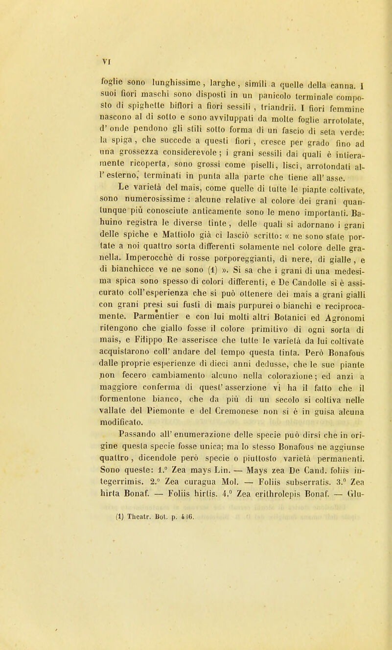 foglie sono lunghissime, larghe, simili a quelle della canna. 1 suoi Qori maschi sono disposti in un panicelo terminale compo- sto di spighette hiflori a fiori sessili , Iriandrii. I fiori femmine nascono al di sotto e sono avviluppati da molte foglie arrotolale, d' onde pendono gli stili sotto forma di un fascio di seta verde! la spiga, che succede a questi fiori, cresce per grado fino ad una grossezza considerevole ; i grani sessili dai quali è inliera- raenle ricoperta, sono grossi come piselli, lisci, arrotondati al- l'esterno,' terminati in punta alla parte che tiene all'asse. Le varietà del mais, come quelle di tutte le piante coltivate, sono numerosissime : alcune relative al colore dei grani quan- tunque più conosciute anticamente sono le meno importanti. Ba- huino registra le diverse tinte, delle quali si adornano i grani delle spiche e Mattiolo già ci lasciò scritto: « ne sono slate por- tale a noi quattro sorta dilTerenti solamente nel colore delle gra- nella. Imperocché di rosse porporeggianti, di nere, di gialle, e di bianchicce ve ne sono (1) ». Si sa che i grani di una medesi- ma spica sono spesso di colori differenti, e De Candolle si è assi- curato coir esperienza che si può ottenere dei mais a grani gialli con grani presi sui fusti di mais purpurei o bianchi e reciproca- mente. Parmentier e con lui molti altri Botanici ed Agronomi ritengono che giallo fosse il colore primitivo di ogni sorta di mais, e Filippo Re asserisce che tutte le varietà da lui coltivate acquistarono coli' andare del tempo questa tinta. Però Bonafous dalle proprie esperienze di dieci anni dedusse, che le sue piante pon fecero cambiamento alcuno nella colorazione; ed anzi a maggiore conferma di quest' asserzione vi ha il fatto che il formentone bianco, che da più di un secolo si coltiva nelle vallate del Piemonte e del Cremonese non si è in guisa alcuna modificato. Passando all'enumerazione delle specie può dirsi che in ori- gine questa specie fosse unica; ma lo stesso Bonafous ne aggiunse quattro, dicendole però specie o piuttosto varietà permanenti. Sono queste: 1.° Zea mays Lin. — Mays zea De Cand. foliis iu- legerrimis. 2. Zea curagua Mol. — Foliis subserratis. 3. Zea hirta Bonaf. — Foliis hirlis. i. Zea erilhrolepis Bonaf. — Glu- (1) Theatr. Boi. p. 4i6.