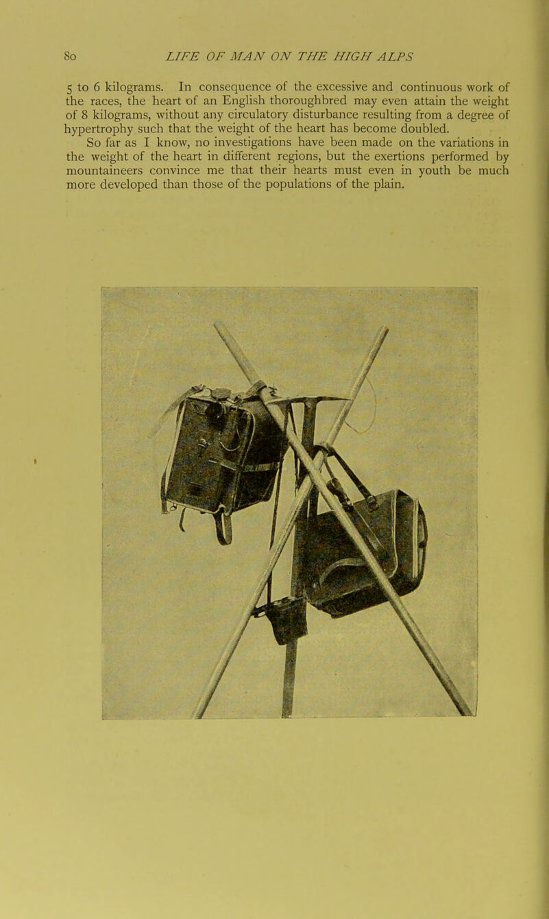 5 to 6 kilograms. In consequence of the excessive and continuous work of the races, the heart of an EngHsh thoroughbred may even attain the weight of 8 kilograms, without any circulatory disturbance resulting from a degree of hypertrophy such that the weight of the heart has become doubled. So far as I know, no investigations have been made on the variations in the weight of the heart in different regions, but the exertions performed by mountaineers convince me that their hearts must even in youth be much more developed than those of the populations of the plain. i