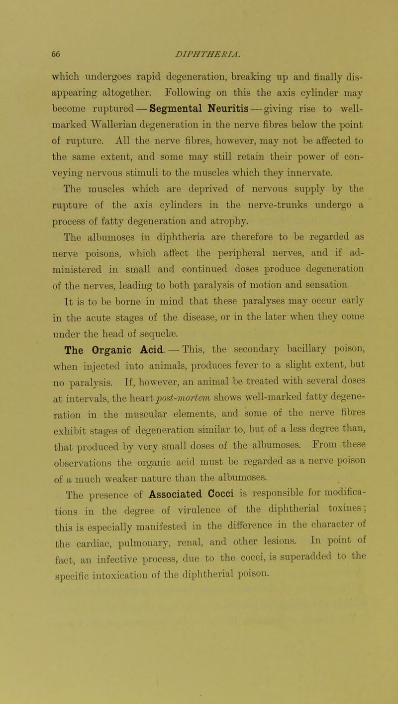 which undergoes rapid degeneration, breaking up and finally dis- appearing altogether. Following on this the axis cylinder may become ruptured — Segmental Neuritis — giving rise to well- marked Wallerian degeneration in the nerve fibres below the point of rupture. All the nerve fibres, however, may not be affecte< I to the same extent, and some may still retain their power of con- veying nervous stimuli to the muscles which they innervate. The muscles which are deprived of nervous supply by the rupture of the axis cylinders in the nerve-trunks undergo a process of fatty degeneration and atrophy. The albumoses in diphtheria are therefore to be regarded as nerve poisons, which affect the peripheral nerves, and if ad- ministered in small and continued doses produce degeneration of the nerves, leading to both paralysis of motion and sensation. It is to be borne in mind that these paralyses may occur early in the acute stages of the disease, or in the later when they come under the head of sequelae. The Organic Acid. — This, the secondary bacillary poison, when injected into animals, produces fever to a slight extent, but no paralysis. If, however, an animal be treated with several doses at intervals, the heart post-mortem shows well-marked fatty degene- ration in the muscular elements, and some of the nerve fibres exhibit stages of degeneration similar to, but of a less degree than, that produced by very small closes of the albumoses. From these observations the organic acid must be regarded as a nerve poison of a much weaker nature than the albumoses. The presence of Associated Cocci is responsible for modifica- tions in the degree of virulence of the diphtherial feoxines; this is especially manifested in the difference in the character of the cardiac, pulmonary, renal, and other lesions. In point of fact, an infective process, due to the cocci, is superadded to the specific intoxication of the diphtherial poison.