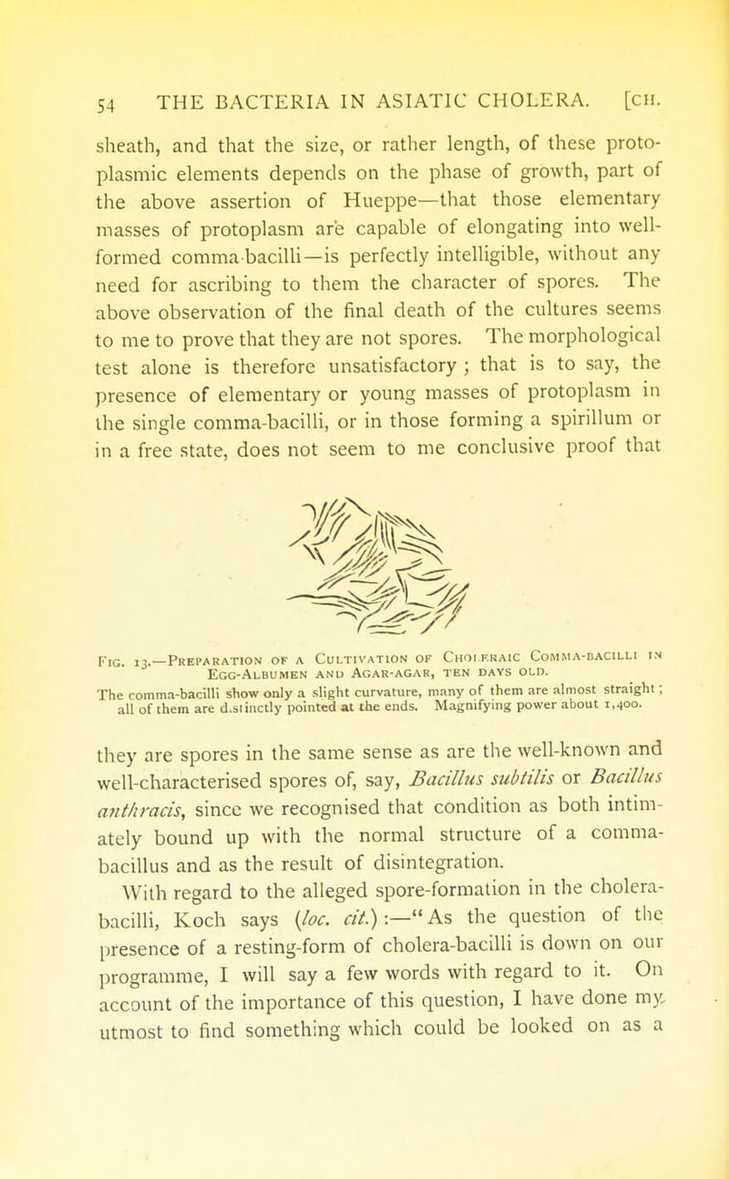 sheath, and that the size, or rather length, of these proto- plasmic elements depends on the phase of growth, part of the above assertion of Hueppe—that those elementary masses of protoplasm are capable of elongating into well- formed comma-bacilli—is perfectly intelligible, without any need for ascribing to them the character of spores. The above observation of the final death of the cultures seems to me to prove that they are not spores. The morphological test alone is therefore unsatisfactory ; that is to say, the presence of elementary or young masses of protoplasm in the single comma-bacilli, or in those forming a spirillum or in a free state, does not seem to me conclusive proof that Fig. 13.—Preparation of a Cultivation of Choleraic Comma-dacilli in Egg-Albumen and Agar-agar, ten days old. The comma-bacilli show only a slight curvature, many of them are almost straight; all of them are d.slinctly pointed at the ends. Magnifying power about 1,400. they are spores in the same sense as are the well-known and well-characterised spores of, say, Bacillus subtilis or Bacillus anthracis, since we recognised that condition as both intim- ately bound up with the normal structure of a comma- bacillus and as the result of disintegration. With regard to the alleged spore-formation in the cholera- bacilli, Koch says (loc. a/.):—As the question of the presence of a resting-form of cholera-bacilli is down on our programme, I will say a few words with regard to it. On account of the importance of this question, I have done my, utmost to find something which could be looked on as a