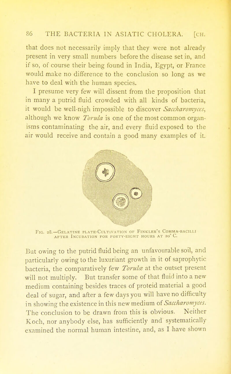 that does not necessarily imply that they were not already present in very small numbers before the disease set in, and if so, of course their being found in India, Egypt, or France would make no difference to the conclusion so long as we have to deal with the human species. I presume very few will dissent from the proposition that in many a putrid fluid crowded with all kinds of bacteria, it would be well-nigh impossible to discover Saccharojnyccs, although we know Torula is one of the most common organ- isms contaminating the air, and every fluid exposed to the air would receive and contain a good many examples of it. Fig. 28.—Gelatine Plate-Cultivation of Finkler's Comma-bacilli after Incubation for forty-eight hours at 20° C. But owing to the putrid fluid being an unfavourable soil, and particularly owing to the luxuriant growth in it of saprophytic bacteria, the comparatively few Torulce at the outset present will not multiply. But transfer some of that fluid into a new medium containing besides traces of proteid material a good deal of sugar, and after a few days you will have no difficulty in showing the existence in this new medium of Saccharomyces. The conclusion to be drawn from this is obvious. Neither Koch, nor anybody else, has sufficiently and systematically examined the normal human intestine, and, as I have shown