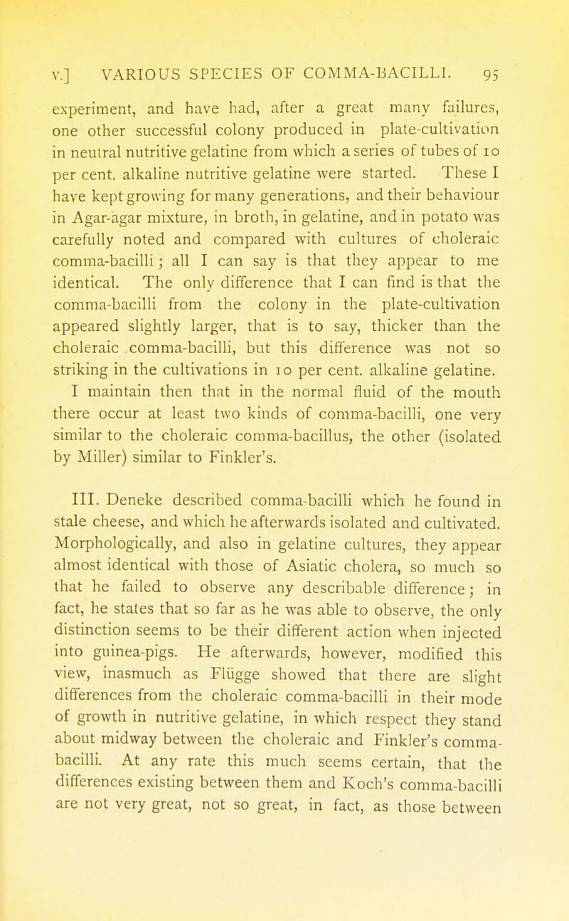 experiment, and have had, after a great many failures, one other successful colony produced in plate-cultivation in neutral nutritive gelatine from which a series of tubes of 10 per cent, alkaline nutritive gelatine were started. These I have kept growing for many generations, and their behaviour in Agar-agar mixture, in broth, in gelatine, and in potato was carefully noted and compared with cultures of choleraic comma-bacilli; all I can say is that they appear to me identical. The only difference that I can find is that the comma-bacilli from the colony in the plate-cultivation appeared slightly larger, that is to say, thicker than the choleraic comma-bacilli, but this difference was not so striking in the cultivations in io per cent, alkaline gelatine. I maintain then that in the normal fluid of the mouth there occur at least two kinds of comma-bacilli, one very similar to the choleraic comma-bacillus, the other (isolated by Miller) similar to Finkler's. III. Deneke described comma-bacilli which he found in stale cheese, and which he afterwards isolated and cultivated. Morphologically, and also in gelatine cultures, they appear almost identical with those of Asiatic cholera, so much so that he failed to observe any describable difference; in fact, he states that so far as he was able to observe, the only distinction seems to be their different action when injected into guinea-pigs. He afterwards, however, modified this view, inasmuch as Fliigge showed that there are slight differences from the choleraic comma-bacilli in their mode of growth in nutritive gelatine, in which respect they stand about midway between the choleraic and Finkler's comma- bacilli. At any rate this much seems certain, that the differences existing between them and Koch's comma-bacilli are not very great, not so great, in fact, as those between