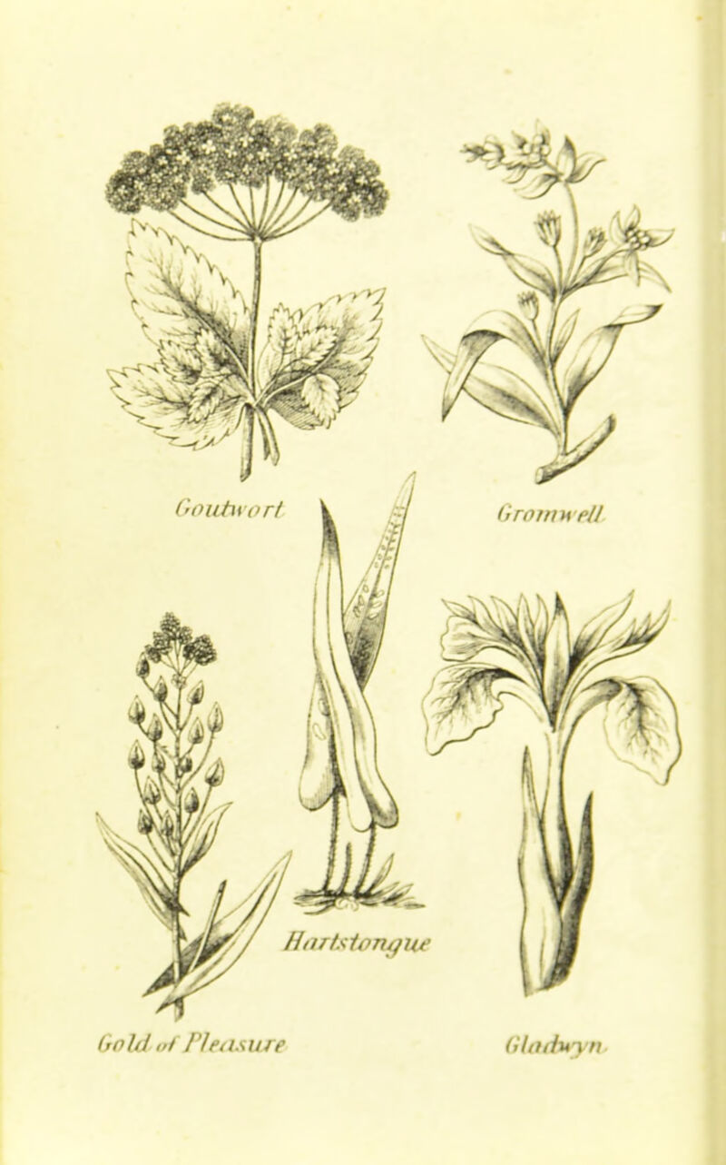 (rdl/J i,t /'/ftlSlllf