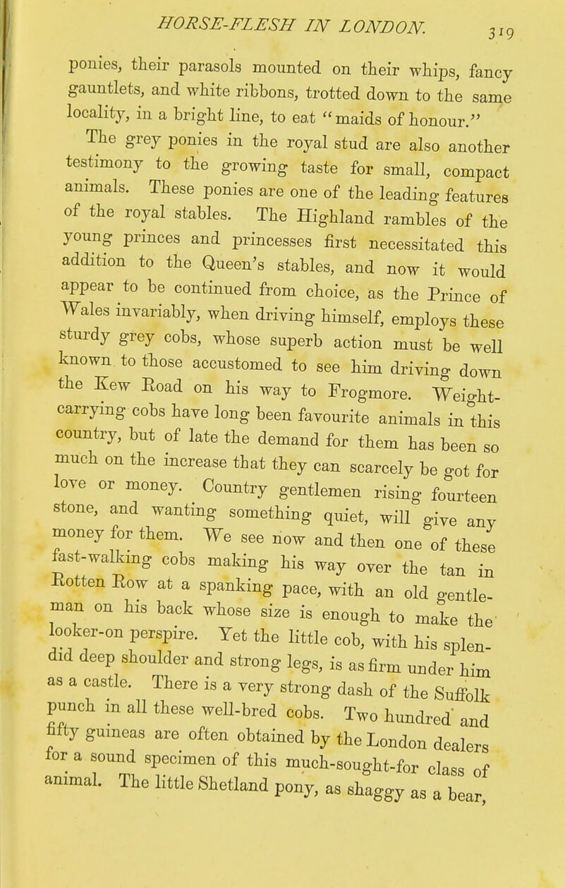 3*9 ponies, their parasols mounted on their whips, fancy gauntlets, and white ribbons, trotted down to the same locality, in a bright line, to eat maids of honour. The grey ponies in the royal stud are also another testimony to the growing taste for small, compact animals. These ponies are one of the leading features of the royal stables. The Highland rambles of the young princes and princesses first necessitated this addition to the Queen's stables, and now it would appear to be continued from choice, as the Prince of Wales invariably, when driving himself, employs these sturdy grey cobs, whose superb action must be well known to those accustomed to see him driving down the Kew Road on his way to Frogmore. Weio-ht- carrying cobs have long been favourite animals in this country, but of late the demand for them has been so much on the increase that they can scarcely be got for love or money. Country gentlemen rising fourteen stone, and wanting something quiet, will give anY money for them. We see now and then one of these fast-walking cobs making his way over the tan in Rotten Row at a spanking pace, with an old gentle man on his back whose size is enough to make the looker-on perspire. Yet the little cob, with his splen- did deep shoulder and strong legs, is as firm under him as a castle. There is a very strong dash of the Suffolk punch in all these well-bred cobs. Two hundred and fifty guineas are often obtained by the London dealers lor a sound specimen of this much-sought-for class of animal. The little Shetland pony, as shaggy as a bear>