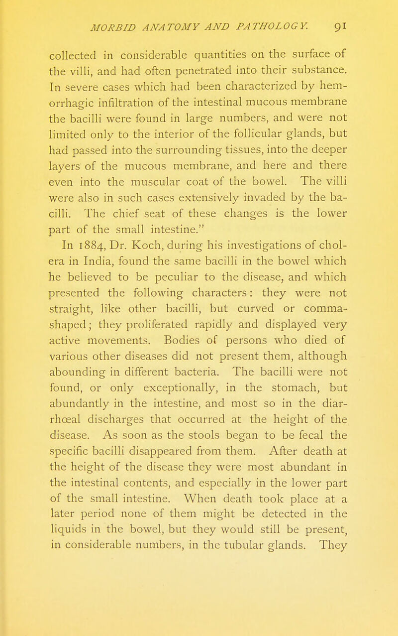 collected in considerable quantities on the surface of the villi, and had often penetrated into their substance. In severe cases which had been characterized by hem- orrhagic infiltration of the intestinal mucous membrane the bacilli were found in large numbers, and were not limited only to the interior of the follicular glands, but had passed into the surrounding tissues, into the deeper layers of the mucous membrane, and here and there even into the muscular coat of the bowel. The villi were also in such cases extensively invaded by the ba- cilli. The chief seat of these changes is the lower part of the small intestine. In 1884, Dr. Koch, during his investigations of chol- era in India, found the same bacilli in the bowel which he believed to be peculiar to the disease, and which presented the following characters: they were not straight, like other bacilli, but curved or comma- shaped ; they proliferated rapidly and displayed very active movements. Bodies of persons who died of various other diseases did not present them, although abounding in different bacteria. The bacilli were not found, or only exceptionally, in the stomach, but abundantly in the intestine, and most so in the diar- rhoeal discharges that occurred at the height of the disease. As soon as the stools began to be fecal the specific bacilli disappeared from them. After death at the height of the disease they were most abundant in the intestinal contents, and especially in the lower part of the small intestine. When death took place at a later period none of them might be detected in the liquids in the bowel, but they would still be present, in considerable numbers, in the tubular glands. They