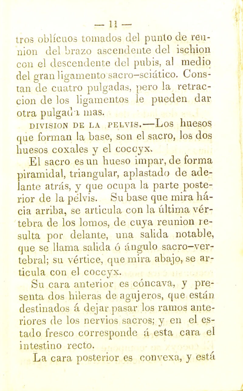 — li- tros oblicuos tomados del punto de reu- nión del brazo ascendente del ischion con el descendente del pubis, al medio del gran ligamento sacro-sciático. Cons- tan de cuatro pulgadas, pero la retrac- ción de los ligamentos le pueden dar otra pulgad i mas. DIVISION DE LA PELVIS. Los llUeSOS que forman la base, son el sacro, los dos huesos coxales y el coccyx. El sacro es un hueso impar, de forma piramidal, triangular, aplastado de ade- lante atrás, y que ocupa la parte poste- rior de la pelvis. Su base que mira há- cia arriba, se articula con la última vér- tebra de los lomos, de cuya reunión re- sulta por delante, una salida notable, que se llama salida ó ángulo sacro-ver- tebral; su vértice, que mira abajo, se ar- ticula con el coccyx. Su cara anterior es cóncava, y pre- senta dos hileras de agujeros, que están, destinados á dejar pasar los ramos ante- riores de los nervios sacros; y en el es- tado fresco corresponde á esta cara el intestino recto. La cara posterior es convexa, y está