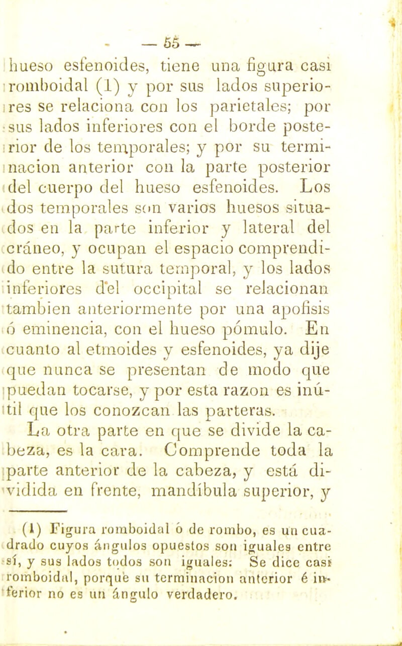 hueso esfenoides, tiene una figura casi romboidal (1) y por sus lados superio- ires se relaciona con los parietales; por •sus lados inferiores con el borde poste- rior de los temporales; y por su termi- nación anterior con la parte posterior del cuerpo del hueso esfenoides. Los dos temporales son varios huesos situa- dos en la parte inferior y lateral del cráneo, y ocupan el espacio comprendí- ido entre la sutura temporal, y los lados inferiores del occipital se relacionan también anteriormente por una apófisis ó eminencia, con el hueso pómulo. En cuanto al etmoides y esfenoides, ya dije que nunca se presentan de modo que i puedan tocarse, y por esta razón es inú- itil que los conozcan las parteras. La otra parte en que se divide la ca- beza, es la cara. Comprende toda la :parte anterior de la cabeza, y está di- sidida en frente, mandíbula superior, y (1) Figura romboidal ó de rombo, es un cua- drado cuyos ángulos opuestos son iguales entre •sí, y sus lados todos son iguales: Se dice casi romboidal, porque su terminación anterior é in- terior no es un ángulo verdadero.