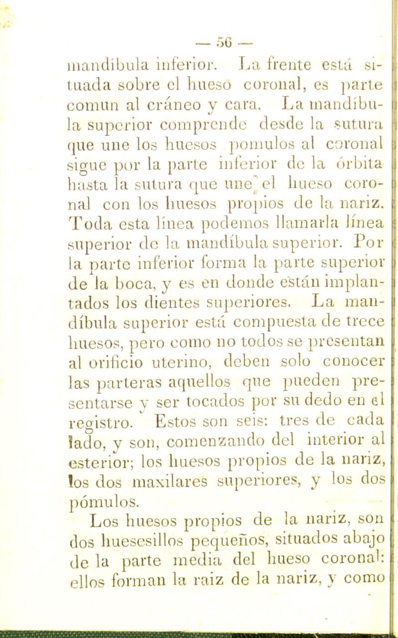 mandíbula inferior. La frente está si- H tuada sobre el hueso coronal, es parte | común al cráneo y cara. La mandíbu- | la superior comprende desde la sutura I que une los huesos pómulos al coronal K sigue por la parte inferior de la órbita I hasta la sutura que une el hueso coro- | nal con los huesos propios de la nariz. I Toda esta línea podemos llamarla Jínea I superior de la mandíbula superior. Por I la parte inferior forma la parte superior I de la boca, y es en donde están implan- | tados los dientes superiores. La man- | díbula superior está compuesta de trece | huesos, pero como no todos se presentan al orificio uterino, deben solo conocer las parteras aquellos que pueden pre- sentarse y ser tocados por su dedo en el registro. Estos son seis: tres de cada lado, y son, comenzando del interior al esterior; los huesos propios de la nariz, los dos maxilares superiores, y los dos pómulos. Los huesos propios de la nariz, son dos huesesillos pequeños, situados abajo de la parte media del hueso coronal: ellos forman la raiz de la nariz, y como