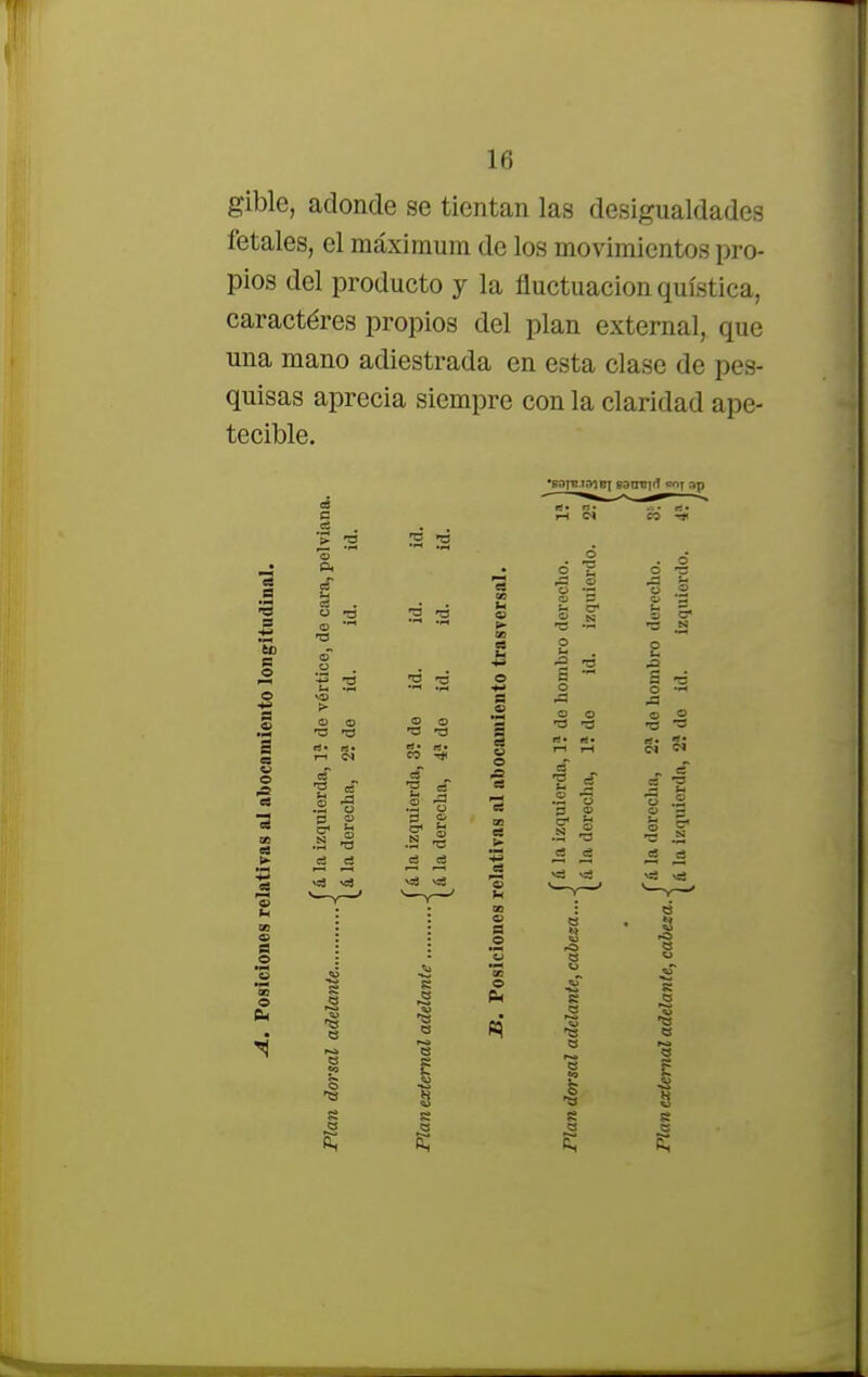 gible, adonde se tientan las desigualdades fetales, el máximum de los movimientos pro- pios del producto y la fluctuación quística, caractéres propios del plan externa!, que una mano adiestrada en esta clase de pes- quisas aprecia siempre con la claridad ape- tecible. o £ B O O a o — s 3 3 7S de o •0 © ■o rJ • rt* m «• -* derecha, & izquion derecho c3 di «a va o a o — .o 5 £ ti o — A sí s; „ ef _s ^ o £ ° Ü s & — N O - Ge © S o « X V rO e •i • 'ante... a o 00 O 1 R lante, c e «o c R m ¿orsaZ acícZc o 3 3 ■a a o 8 s o 5