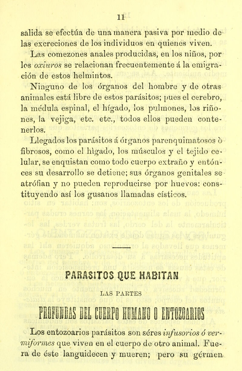 salida se efectúa de una manera pasiva por medio de las excreciones de los individuos en quienes viven. Las comezones anales producidas, en los niños, por los oxiuros se relacionan frecuentemente á la emigra- ción de estos helmintos. Ninguno de los órganos del hombre y de otras animales está libre de estos parásitos; pues el cerebro, la médula espinal, el hígado, los pulmones, los ríño- nes, la vejiga, etc. etc., todos ellos pueden conte- nerlos. Llegados los parásitos á órganos parenquimatosos o fibrosos, como el hígado, los músculos y el tejido ce- lular, se enquistan como todo cuerpo extraño y enton- ces su desarrollo se detiene; sus órganos o^enitales se atrófian y no pueden reproducirse por huevos: cons- tituyendo así los gusanos llamadas císticos. PABASSTOS QUE HABinK LAS PARTES mmm m iim\ imm i miiii Los entozoarios parásitos son seres infusorios ó ver- miformes que viven en el cuerpo de otro animal. Fue- ra de éste languidecen y mueren; pero su gérmen.