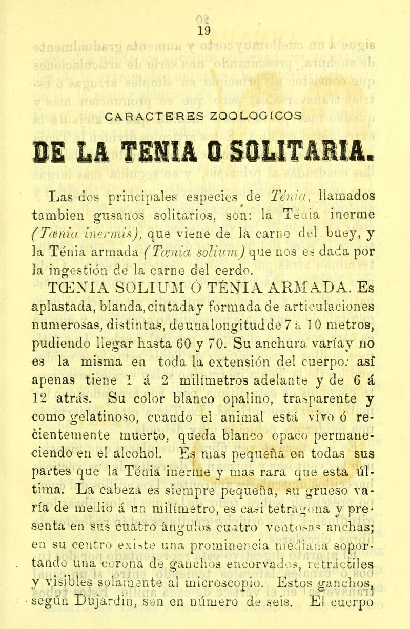 CARACTERES ZOOLOGLCOS 11 LI f lilá i ÜLIf állá. Las dos principales especies de Tén'.ij, llamados también gusanos solitarios, son: la Téiua inerme (Tcenia inennis), que viene de la carne del buey, j la Tenia armada (Tóenla solium) que nos es dacía por la ingestión de la carne del cerdo. TCENIA SOLIUM Ó TÉN!A ARMADA. Es aplastada, blanda, cintadaj formada de articulaciones numerosas, distintas, de una longitud de 7 á 10 metros, pudiendo llegar hasta 60 y 70. Su anchura varíay no es la misma en toda la extensión del cuerpo.- así apenas tiene 1 á 2 milímetros adelante y de 6 á 12 atrás. Su color blanco opalino, trasparente y como gelatinoso, cuando el animal está vivo ó re- cientemente muerto, queda blanco opaco permane- ciendo en el alcohol. Es mas pequeña en todas sus partes que la Tenia inerme y mas rara que esta úl- tima. La cabeza es siempre pequeña, su grueso va- ría de medio á un milímetro, es ca.^i tetrag<*na y pre- senta en sus cuatro ángulos cuatro ventosa'^ anchas; en su centro existe una promine?]cia mediaiia sopor- tando una ccrona de ganchos encorvad's, retráctiles y visibles solamente al microscopio. Estos ganchoS;^ según Dujardin, s-jn en número de seis. El cuerpo