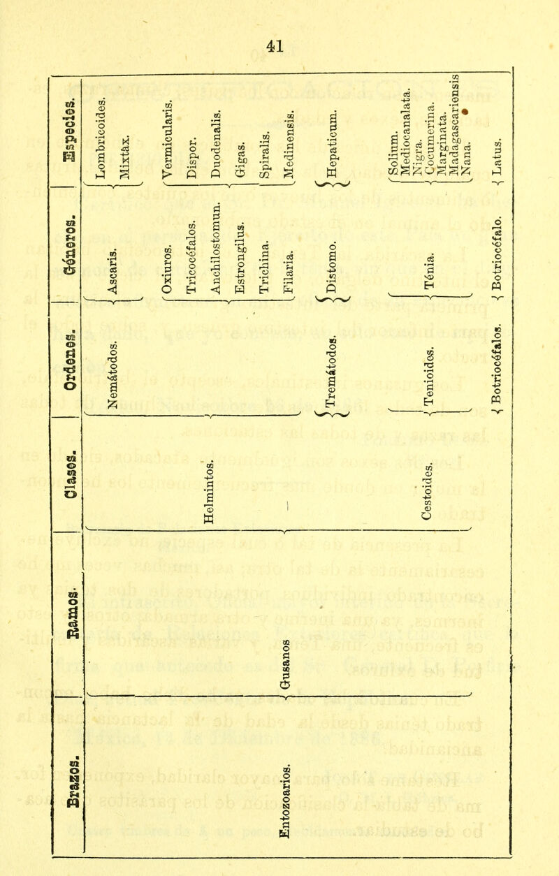 ta o -w-t o o Pi *n m Lombricoides. Mixtáx. ' Vermicularis. Dispor. Duodenalis. Gigas. Spiralis. ^ Medinensis. [ Hepaticum. ( Solium. Mediocanalata. Cocumerina. JMarginata. Madagascariensis [Nana. • «{ Latus. m o u o Ff '■o & Ascaris. ' Oxiuros. Tricocéfalos. Anchilostomun. Estrongilus. Tricliina. . Filarla. ' Distomo. Ténia. <¡ Botriocéfalo. m o FS o •tí M O Nemátodos. ' Tremátodos. ! Tenioides. ^ Botriocéfalos. © OI e4 O -S ^ a . S 'ñ o S w ^ (O o O! 11! § Brazos. Entozoarios.