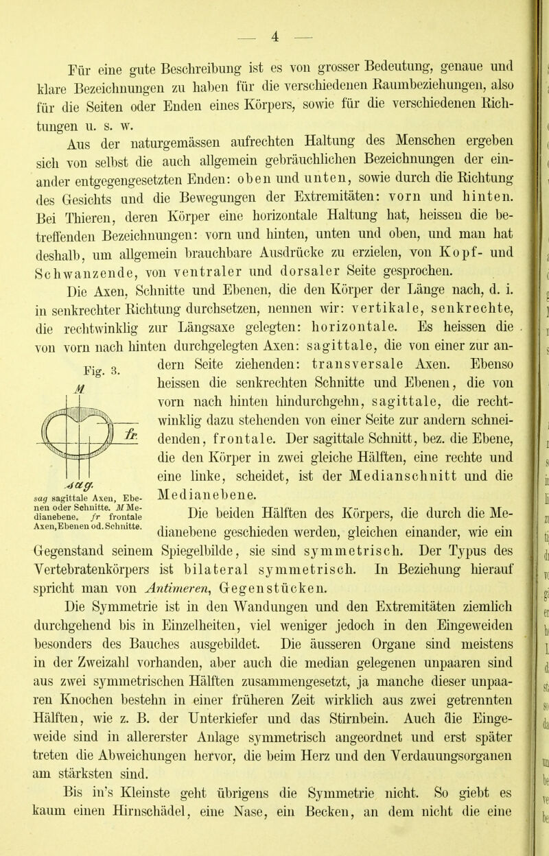 Fisr. 3. Für eine gute Beschreibung ist es von grosser Bedeutung, genaue und klare Bezeichnungen zu haben für die verschiedenen Raumbeziehungen, also für die Seiten oder Enden eines Körpers, sowie für die verschiedenen Rich- tungen u. s. w. Aus der naturgemässen aufrechten Haltung des Menschen ergeben sich von selbst die auch allgemein gebräuchlichen Bezeichnungen der ein- ander entgegengesetzten Enden: oben und unten, sowie durch die Richtung des Gesichts und die Bewegungen der Extremitäten: vorn und hinten. Bei Thieren, deren Körper eine horizontale Haltung hat, heissen die be- treffenden Bezeichnungen: vorn und hinten, unten und oben, und man hat deshalb, um allgemein brauchbare Ausdrücke zu erzielen, von Kopf- und Schwanzende, von ventraler und dorsaler Seite gesprochen. Die Axen, Schnitte und Ebenen, die den Körper der Länge nach, d. i. in senkrechter Richtung durchsetzen, nennen wir: vertikale, senkrechte, die rechtwinklig zur Längsaxe gelegten: horizontale. Es heissen die von vorn nach hinten durchgelegten Axen: sagittale, die von einer zur an- dern Seite ziehenden: transversale Axen. Ebenso heissen die senkrechten Schnitte und Ebenen, die von vorn nach hinten hindurchgehn, sagittale, die recht- winklig dazu stehenden von einer Seite zur andern schnei- denden, frontale. Der sagittale Schnitt, bez. die Ebene, die den Körper in zwei gleiche Hälften, eine rechte und eine linke, scheidet, ist der Medianschnitt und die Medianebene. Die beiden Hälften des Körpers, die durch die Me- dianebene geschieden werden, gleichen einander, wie ein Gegenstand seinem Spiegelbilde, sie sind symmetrisch. Der Typus des Vertebratenkörpers ist bilateral symmetrisch. In Beziehung hierauf spricht man von Antimeren, Gegenstücken. Die Symmetrie ist in den Wandungen und den Extremitäten ziemlich durchgehend bis in Einzelheiten, viel weniger jedoch in den Eingeweiden besonders des Bauches ausgebildet. Die äusseren Organe sind meistens in der Zweizahl vorhanden, aber auch die median gelegenen unpaaren sind aus zwei symmetrischen Hälften zusammengesetzt, ja manche dieser unpaa- ren Knochen bestehn in einer früheren Zeit wirklich aus zwei getrennten Hälften, wie z. B. der Unterkiefer und das Stirnbein. Auch die Einge- weide sind in allererster Anlage symmetrisch angeordnet und erst später treten die Abweichungen hervor, die beim Herz und den Verdauungsorganen am stärksten sind. Bis in's Kleinste geht übrigens die Symmetrie nicht. So giebt es kaum einen Hirnschädel, eine Nase, ein Becken, an dem nicht die eine sag sagittale Axeu, Ebe- nen oder Schnitte. M Me- dianebene, fr frontale Axen.Ebenen od. Schnitte.