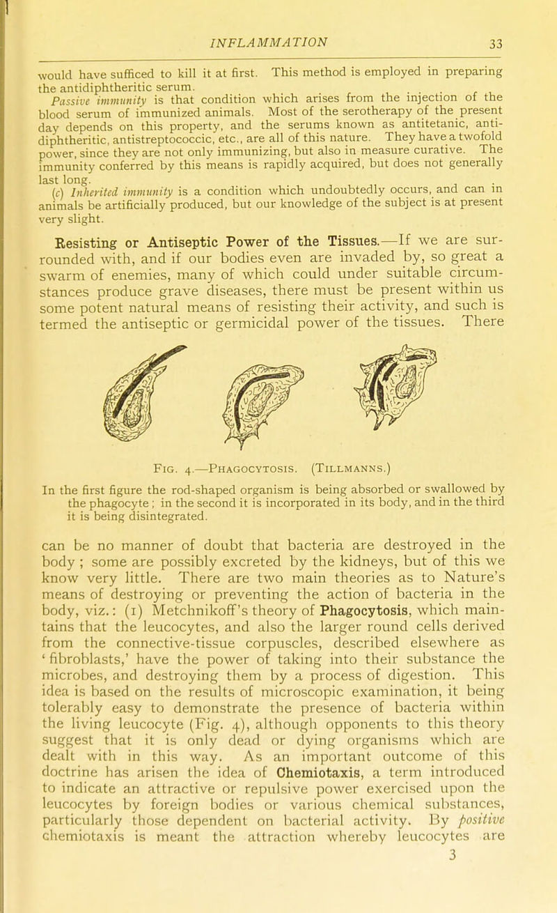 would have sufficed to kill it at first. This method is employed in preparing the antidiphtheritic serum. Passive immunity is that condition which arises from the injection of the blood serum of immunized animals. Most of the serotherapy of the present day depends on this property, and the serums known as antitetanic, anti- diphtheritic, antistreptococcic, etc., are all of this nature. They have a twofold power, since they are not only immunizing, but also in measure curative. The immunity conferred by this means is rapidly acquired, but does not generally last long. (c) Inherited immunity is a condition which undoubtedly occurs, and can in animals be artificially produced, but our knowledge of the subject is at present very slight. Resisting or Antiseptic Power of the Tissues.—If we are sur- rounded with, and if our bodies even are invaded by, so great a swarm of enemies, many of which could under suitable circum- stances produce grave diseases, there must be present within us some potent natural means of resisting their activity, and such is termed the antiseptic or germicidal power of the tissues. There Fig. 4.—Phagocytosis. (Tillmanns.) In the first figure the rod-shaped organism is being absorbed or swallowed by the phagocyte; in the second it is incorporated in its body, and in the third it is being disintegrated. can be no manner of doubt that bacteria are destroyed in the body ; some are possibly excreted by the kidneys, but of this we know very little. There are two main theories as to Nature's means of destroying or preventing the action of bacteria in the body, viz.: (1) Metchnikoff's theory of Phagocytosis, which main- tains that the leucocytes, and also the larger round cells derived from the connective-tissue corpuscles, described elsewhere as ' fibroblasts,' have the power of taking into their substance the microbes, and destroying them by a process of digestion. This idea is based on the results of microscopic examination, it being tolerably easy to demonstrate the presence of bacteria within the living leucocyte (Fig. 4), although opponents to this theory surest that it is only dead or dying organisms which are dealt with in this way. As an important outcome of this doctrine has arisen the idea of Chemiotaxis, a term introduced to indicate an attractive or repulsive power exercised upon the leucocytes by foreign bodies or various chemical substances, particularly those dependent on bacterial activity. By positive chemiotaxis is meant the attraction whereby leucocytes are 3