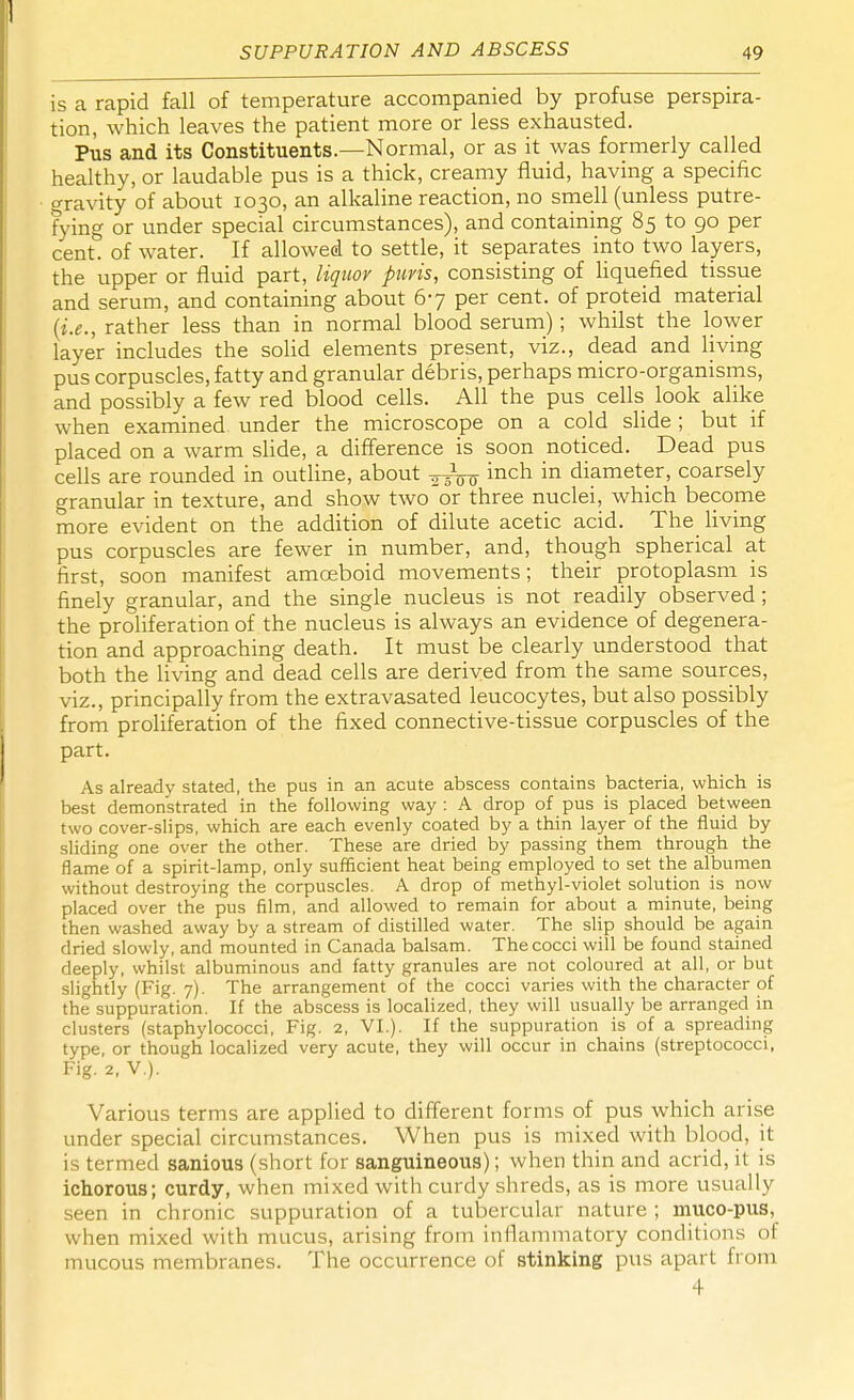 is a rapid fall of temperature accompanied by profuse perspira- tion, which leaves the patient more or less exhausted. Pus and its Constituents.—Normal, or as it was formerly called healthy, or laudable pus is a thick, creamy fluid, having a specific gravity of about 1030, an alkaline reaction, no smell (unless putre- fying or under special circumstances), and containing 85 to 90 per cent, of water. If allowed to settle, it separates into two layers, the upper or fluid part, liquor puris, consisting of liquefied tissue and serum, and containing about 67 per cent, of proteid material (i.e., rather less than in normal blood serum); whilst the lower layer includes the solid elements present, viz., dead and living pus corpuscles, fatty and granular debris, perhaps micro-organisms, and possibly a few red blood cells. All the pus cells look alike when examined under the microscope on a cold slide ; but if placed on a warm slide, a difference is soon noticed. Dead pus cells are rounded in outline, about ^ inch in diameter, coarsely granular in texture, and show two or three nuclei, which become more evident on the addition of dilute acetic acid. The living pus corpuscles are fewer in number, and, though spherical at first, soon manifest amoeboid movements; their protoplasm is finely granular, and the single nucleus is not readily observed; the proliferation of the nucleus is always an evidence of degenera- tion and approaching death. It must be clearly understood that both the living and dead cells are derived from the same sources, viz., principally from the extravasated leucocytes, but also possibly from proliferation of the fixed connective-tissue corpuscles of the part. As already stated, the pus in an acute abscess contains bacteria, which is best demonstrated in the following way : A drop of pus is placed between two cover-slips, which are each evenly coated by a thin layer of the fluid by sliding one over the other. These are dried by passing them through the flame of a spirit-lamp, only sufficient heat being employed to set the albumen without destroying the corpuscles. A drop of methyl-violet solution is now placed over the pus film, and allowed to remain for about a minute, being then washed away by a stream of distilled water. The slip should be again dried slowly, and mounted in Canada balsam. The cocci will be found stained deeply, whilst albuminous and fatty granules are not coloured at all, or but slightly (Fig. 7). The arrangement of the cocci varies with the character of the suppuration. If the abscess is localized, they will usually be arranged in clusters (staphylococci, Fig. 2, VI.). If the suppuration is of a spreading type, or though localized very acute, they will occur in chains (streptococci, Fig. 2, V.). Various terms are applied to different forms of pus which arise under special circumstances. When pus is mixed with blood, it is termed sanious (short for sanguineous); when thin and acrid, it is ichorous; curdy, when mixed with curdy shreds, as is more usually seen in chronic suppuration of a tubercular nature ; muco-pus, when mixed with mucus, arising from inflammatory conditions of mucous membranes. The occurrence of stinking pus apart from 4