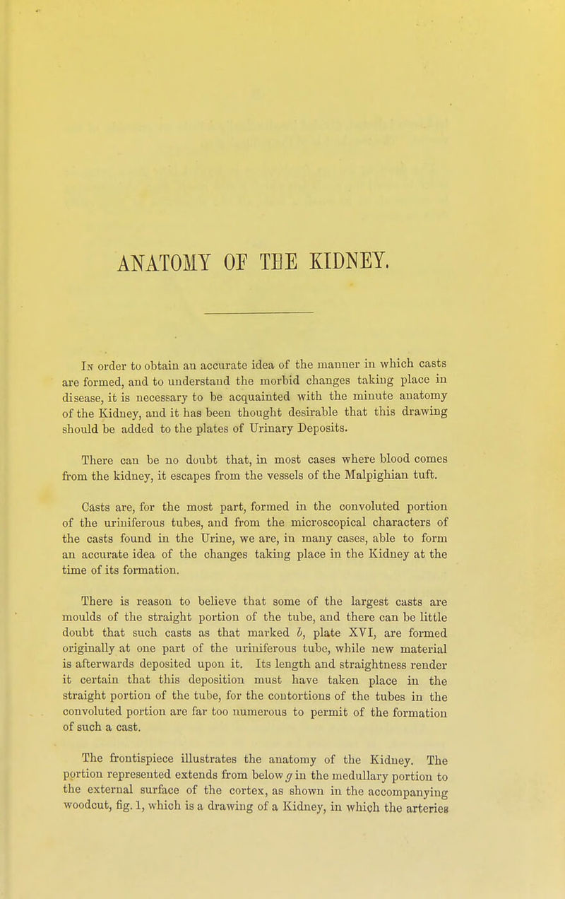 ANATOMY OF TEE KIDNEY. In order to obtain an accurate idea of the manner in which casts are formed, and to understand the morbid changes taking place in disease, it is necessary to be acquainted with the minute anatomy of the Kidney, and it has been thought desirable that this drawing should be added to the plates of Urinary Deposits. There can be no doubt that, in most cases where blood comes from the kidney, it escapes from the vessels of the Malpighian tuft. Casts are, for the most part, formed in the convoluted portion of the uriniferous tubes, aud from the microscopical characters of the casts found in the Urine, we are, in many cases, able to form an accurate idea of the changes taking place in the Kidney at the time of its formation. There is reason to believe that some of the largest casts are moulds of the straight portion of the tube, and there can be little doubt that such casts as that marked b, plate XVI, are formed originally at one part of the uriniferous tube, while new material is afterwards deposited upon it. Its length and straightness render it certain that this deposition must have taken place in the straight portion of the tube, for the contortions of the tubes in the convoluted portion are far too numerous to permit of the formation of such a cast. The frontispiece illustrates the anatomy of the Kidney. The portion represented extends from below g in the medullary portion to the external surface of the cortex, as shown in the accompanying