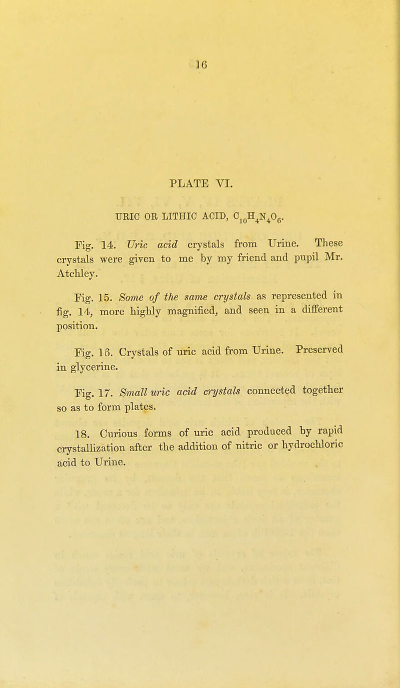 PLATE VI. TJRIC OR LITHIC ACID, C10H4N406. Fig. 14. Uric acid crystals from Urine. These crystals were given to me by my friend and pupil Mr. Atchley. Pig. 15. Some of the same crystals as represented in fig. 14, more highly magnified, and seen in a different position. Pig. 16. Crystals of uric acid from Urine. Preserved in glycerine. Pig. 17. Small uric acid crystals connected together so as to form plates. 18. Curious forms of uric acid produced by rapid crystallization after the addition of nitric or hydrochloric acid to Urine.