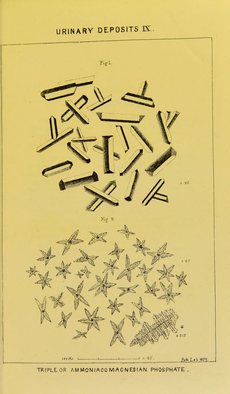 TRIPLE OR AMMONIACO MACNESIAN PHOSPHATE.