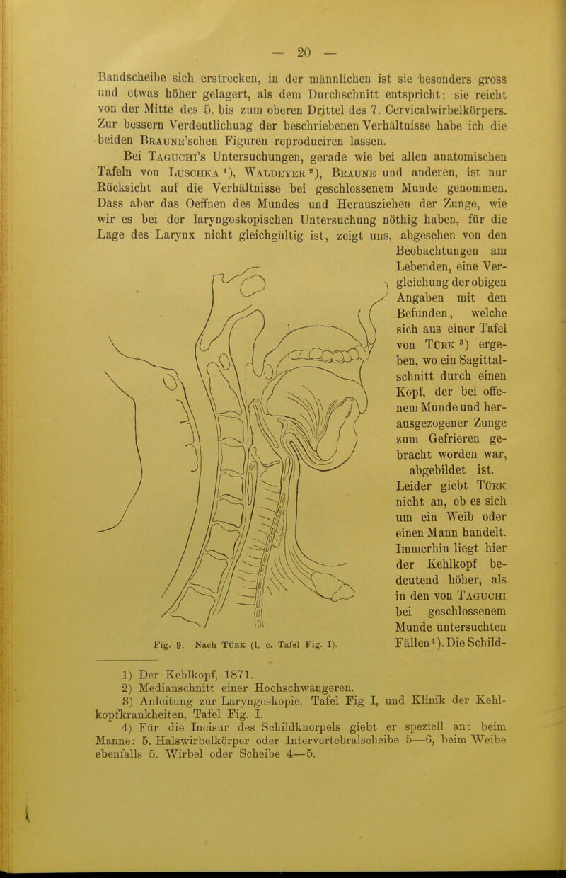 Bandscheibe sich erstrecken, in der männlichen ist sie besonders gross und etwas höher gelagert, als dena Durchschnitt entspricht; sie reicht von der Mitte des 5. bis zum oberen Drittel des 7. Gervicalwirbelkörpers, Zur bessern Verdeutlichung der beschriebenen Verhältnisse habe ich die beiden BRAUNE'schen Figuren reproduciren lassen. Bei Taguchi's Untersuchungen, gerade wie bei allen anatomischen Tafeln von Luschka Waldeyer Braune und anderen, ist nur Rücksicht auf die Verhältnisse bei geschlossenem Munde genommen, Dass aber das Oeffnen des Mundes und Herausziehen der Zunge, wie wir es bei der laryngoskopischen Untersuchung nöthig haben, für die Lage des Larynx nicht gleichgültig ist, zeigt uns, abgesehen von den Beobachtungen am Lebenden, eine Ver- gleichung der obigen Angaben mit den Befunden, welche sich aus einer Tafel von Türk ^) erge- ben, wo ein Sagittal- schnitt durch einen Kopf, der bei offe- nem Munde und her- ausgezogener Zunge zum Gefrieren ge- bracht worden war, abgebildet ist. Leider giebt Türk nicht an, ob es sich um ein Weib oder einen Mann handelt. Immerhin liegt hier der Kehlkopf be- deutend höher, als in den von Taguchi bei geschlossenem Munde untersuchten Fig. 9. Nach TÜRK (1. c. Tafel Fig. I). Fällen*). Die ScMld- 1) Der Kehlkopf, 1871. 2) Medianschnitt einer Hochschwangeren. 3) Anleitung zur Laryngoskopie, Tafel Fig I, und Klinik der Kehl- kopfkrankheiten, Tafel Fig. I. 4) Für die Incisur des Schildknorpels giebt er speziell an: beim Manne: 5. Halswirbelkörper oder Intervertebralscheibe 5—6, beim Weibe ebenfalls 5. Wirbel oder Scheibe 4—5.