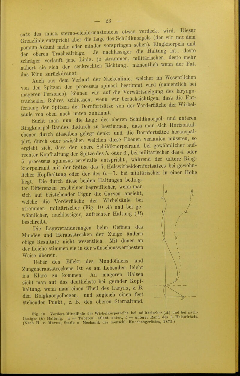 satz des musc. sterno-cleido-mastoideus etwas verdeckt wird. Dieser Grenzlinie entspricht aber die Lage des Schildlinorpels (den wir mit dem pomum Adami mehr oder minder vorspringen sehen) Rmgknorpels und der oberen Tracheairinge. Je nachlässiger die Haltung ist, desto schräger verläuft jene Linie, je strammer, militärischer, desto mehr nähert sie sich der senkrechten Richtung, namentlich wenn der Pat. das Kinn zurückdrängt. Auch aus dem Verlauf der Nackenlinie, welcher im Wesentlichen von den Spitzen der processus spinosi bestimmt wird (namentlich bei mageren Personen), können wir auf die Vorwärtsneigung des laryngo- trachealen Rohres schliessen, wenn wir berücksichtigen, dass die H^nt- fernung der Spitzen der Dornfortsätze von der Vorderfläche der Wirbel- säule von oben nach unten zunimmt. Sucht man nun die Lage des oberen Schildknorpel- und unteren Ringknorpel-Randes dadurch zu bestimmen, dass man sich Horizontal- ebenen durch dieselben gelegt denkt und die Dornfortsätze herauspal- pirt durch oder zwischen welchen diese Ebenen verlaufen müssten, so er-^iebt sich, dass der obere Schildknorpelrand bei gewöhnlicher auf- rechter Kopfhaltung der Spitze des 5. oder 6., bei militärischer des 4. oder 5 Processus spinosus cervicalis entspricht, während der untere Ring- kuorpelrand mit der Spitze des 7. Halswirbeldornfortsatzes bei gewöhn- licher Kopfhaltung oder der des 6.-7. bei militärischer in einer Höhe liegt. Die durch diese beiden Haltungen beding- ten Differenzen erscheinen begreiflicher, wenn man sich auf beistehender Figur die Curven ansieht, welche die Vorderfläche der Wirbelsäule bei strammer, militärischer (Fig. 10 Ä) und bei ge- wöhnlicher, nachlässiger, aufrechter Haltung {B) beschreibt. Die Lageveränderungen beim Oeffnen des Mundes und Herausstrecken der Zunge ändern obige Resultate nicht wesentlich. Mit denen an der Leiche stimmen sie in der wünschenswerthesten Weise überein. Ueber den Effekt des Mundöffnens und Zungeherausstreckens ist es am Lebenden leicht ins Klare zu kommen. An mageren Hälsen sieht man auf das deutlichste bei gerader Kopf- haltung, wenn man einen Theil des Larynx, z. B. den Ringknorpelbogen, und zugleich einen fest stehenden Punkt, z. B. den oberen Sternalrand, Fig 10. Vordere Mittellinie der Wirbellcörperreihe bei militärischer {A) und bei nach- lässiger (5) Haltung, a — Tubercul. atlant. auter., b = unterer Rand des 6. Halswirbels. (Nach H. V. Meyer, Statik u. Mechanik des menschl. Knochengerüstes, 1873.)