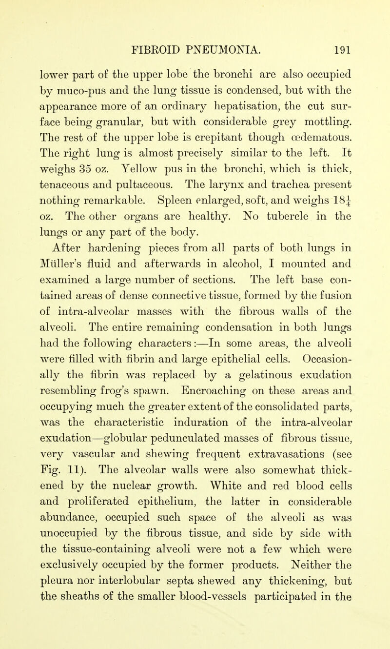 lower part of the upper lobe the bronchi are also occupied by muco-pus and the lung tissue is condensed, but with the appearance more of an ordinary hepatisation, the cut sur- face being granular, but with considerable grey mottling. The rest of the upper lobe is crepitant though oedematous. The right lung is almost precisely similar to the left. It weighs 35 oz. Yellow pus in the bronchi, which is thick, tenaceous and pultaceous. The larynx and trachea present nothing remarkable. Spleen enlarged, soft, and weighs I8|- oz. The other organs are healthy. No tubercle in the lungs or any part of the body. After hardening pieces from all parts of both lungs in Miiller's fluid and afterwards in alcohol, I mounted and examined a large number of sections. The left base con- tained areas of dense connective tissue, formed by the fusion of intra-alveolar masses with the fibrous walls of the alveoli. The entire remaining condensation in both lungs had the following characters:—In some areas, the alveoli were filled with fibrin and large epithelial cells. Occasion- ally the fibrin was replaced by a gelatinous exudation resembling frog's spawn. Encroaching on these areas and occupying much the greater extent of the consolidated parts, was the characteristic induration of the intra-alveolar exudation—globular pedunculated masses of fibrous tissue, very vascular and shewing frequent extravasations (see Fig. 11). The alveolar walls were also somewhat thick- ened by the nuclear growth. White and red blood cells and proliferated epithelium, the latter in considerable abundance, occupied such space of the alveoli as was unoccupied by the fibrous tissue, and side by side with the tissue-containing alveoli were not a few which were exclusively occupied by the former products. Neither the pleura nor interlobular septa shewed any thickening, but the sheaths of the smaller blood-vessels participated in the