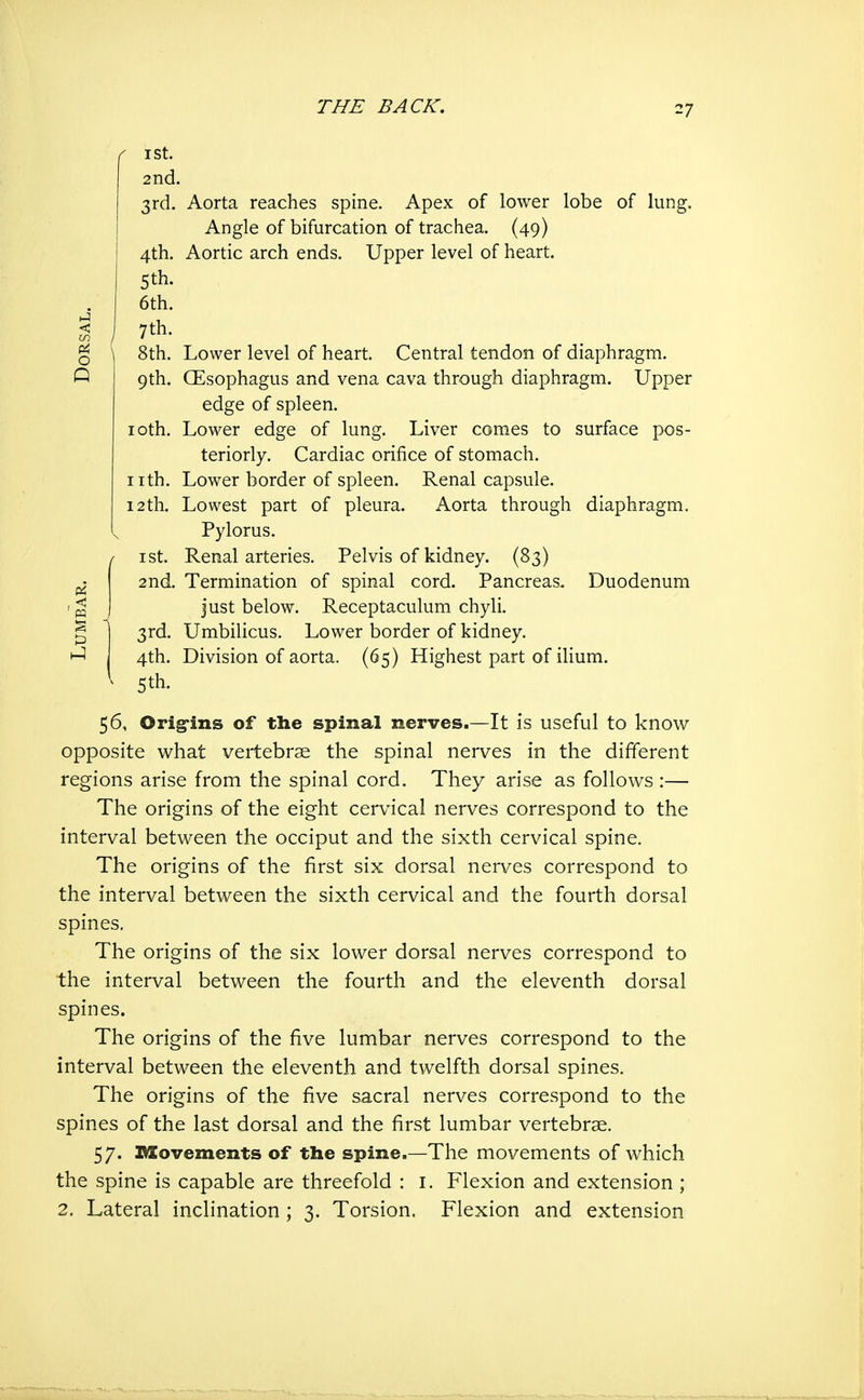 ' I St. 2nd. 3rd. Aorta reaches spine. Apex of lower lobe of lung. Angle of bifurcation of trachea. (49) 4th. Aortic arch ends. Upper level of heart. 6th. 7th. 8th. Lower level of heart. Central tendon of diaphragm. 9th. CEsophagus and vena cava through diaphragm. Upper edge of spleen. loth. Lower edge of lung. Liver comes to surface pos- teriorly. Cardiac orifice of stomach. nth. Lower border of spleen. Renal capsule. 12th. Lowest part of pleura. Aorta through diaphragm. Pylorus. ist. Renal arteries. Pelvis of kidney. (83) 2nd. Termination of spinal cord. Pancreas. Duodenum just below. Receptaculum chyli. 3rd. Umbilicus. Lower border of kidney. 4th. Division of aorta. (65) Highest part of ilium. 5th. 56, Orig'ins of the spinal nerves.—It is useful to know opposite v^hat vertebrae the spinal nerves in the different regions arise from the spinal cord. They arise as follows :— The origins of the eight cervical nerves correspond to the interval between the occiput and the sixth cervical spine. The origins of the first six dorsal nerves correspond to the interval between the sixth cervical and the fourth dorsal spines. The origins of the six lower dorsal nerves correspond to the interval between the fourth and the eleventh dorsal spines. The origins of the five lumbar nerves correspond to the interval between the eleventh and twelfth dorsal spines. The origins of the five sacral nerves correspond to the spines of the last dorsal and the first lumbar vertebrae. 57. Movements of the spine.—The movements of which the spine is capable are threefold : i. Flexion and extension ; 2. Lateral inclination ; 3. Torsion. Flexion and extension