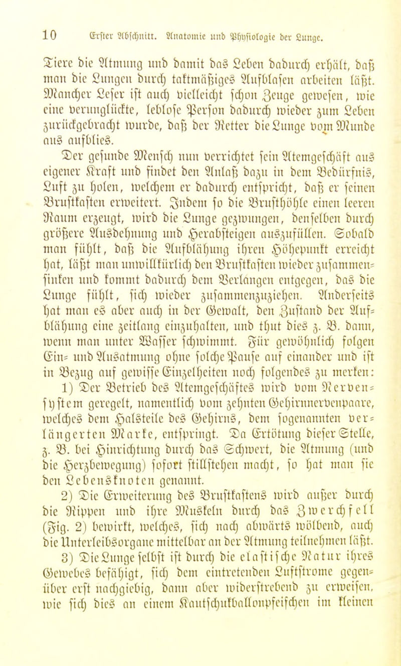 ©rfler Sfifcljuitt. Sdtntomie uitb 5|?f)tifiotogie bcr Sungc. Stiere bie ?Umung imb bnmit ba§ Scben baburd) crfjäft, baf] man bie Suiujcii burd) tciftninf5igc§ 5[ufblnfcn arbeiten (äfjt. 9JJandjer Sefer ift and) üieUeidjt fdjon Beuge geiucfen, luie eine üernnglürfte, Icblofe ^erfon babnrc^ mieber jum Seticn 5nriicfgel)rad)t luurbe, baf5 bcr 9Jctter bie Sange nomSlJnnbe nn§ anftitieg. ®er gefnnbe 9)?enfd) nnn üerric^tct fein ?(temgefd)äft an» eigener ^raft nnb finbet ben 9lnlnf3 bajn in bem 83cbiirfnia, 2nft jn f^olcn, Uield)em er babnrdj cntfpridjt, bafs er feinen 93rn[tfaften erweitert. Snbem fo bie 93rnft(jöfjle einen Iceren 9^Qnm erjengt, luirb bie Sunge gejinnngen, benfelüen bnrdj gröfsere 5(n§bet)nnng nnb ^erabfteigen an^jufüKen. ©Dbalb man füljlt, baf] bie 5(nfbläl)ung i()ren .^öfjepnnft erreid)t Ijat, liifjt man nnunflfürlid) ben 93rn[tfaftcn mieber jnfammens finfcn nnb fommt babnrdj bem S3er(angen entgegen, ba§ bie Snnge \nl)lt, fid) mieber 5ufammenjn5ie[)en. 5(nberfeit§ t)at man e§ aber and) in bcr ©eiualt, ben ßnftanb ber 2In[= t)(äf)nng eine jeitlang einjufjaltcn, nnb tfjnt bie§ 5. S3. bann, inenn man nnter SBaffer fdjinimmt. g-iir gcmöfjnlid} fotgen (Iin= nnb ?[n§atmnng ofjne fotdje ^aufe anf einanber nnb ift in 83c5ng anf gemiffe SinjcUjcitcn nod) foIgenbe§ jn merfen: 1) ©er 93ctrieb bc§ ?(tcingefd)äftc§ mirb bom 9(ernenn fljflem geregelt, namentlid) bom jefjntcn ©cfjirnnerüenpaare, lüetdjeS bem ^alSteile be§ ®efjirn§, bem fogenannten t)cr = längerten SJcarfc, cntfpringt. ®a ©rtötnng biefer©teile, 5. 93. bei ^inricljtnng bnrd) bax^ Sdjinert, bie 5ttmnng (nnb bie i^erjbeiuegnng) fofort ftiUfteljcn madjt, fo \)at man fic ben Seben§fnotcn genannt. 2) ®ic ©ruieiternng bc§ 53rnftfaften§ mirb anf3cr burd) bie 9{ippen nnb iljre DJhtSteln burd) ba§ 3>ucrdjfeII (gig. 2) bemirft, mcld)e§, fidj nad) abmärt» mölbcnb, and) bie UnterIeib§organe mittelbar an bcr 5ltmnug teiincbmcu läfjt. 3) SieSnngefelbft ift bnrd) bie claftifcl)c Diatur it)re§ ®eiiiebe§ befätjigt, fid) bem eintretcnben i^uftftromc gcgen= über erft nad)gicbig, bann aber nnberftrcbcub ju crmeifeu, uiie fid) bies! an einem S?antfd)ntbaIIonpfeifd)eu im t'Icinen