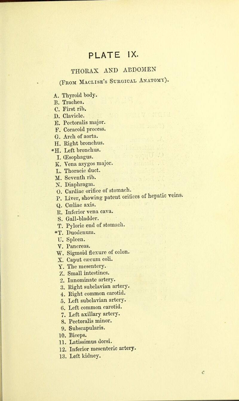 THORAX AND ABDOMEN (From Maclise's Surgical Anatomy). A. Thyroid body. B. Trachea. C. First rib. D. Clavicle. E. Pectoralis major. F. Coracoid process. G. Arch of aorta. H. Right bronchus. *H. Left bronchus. I. (Esophagus. K. Vena azygos major. L. Thoracic duct. M. Seventh rib. N. Diaphragm. 0 Cardiac orifice of stomach. P. Liver, showing patent orifices of hepatic veins. Q. Coeliac axis. R. Inferior vena cava. S. Gall-bladder. T. Pyloric end of stomach. *T. Duodenum. U. Spleen. V. Pancreas. W. Sigmoid flexure of colon. X. Caput caecum coli. Y. The mesentery. Z. Small intestines. 2. Innominate artery. 3. Right subclavian artery. 4. Right common carotid. 5. Left subclavian artery. 6. Left common carotid. 7. Left axillary artery. 8. Pectoralis minor. 9. Subscapularis. 10. Biceps. 11. Latissimus dorsi. 12. Inferior mesenteric artery. 13. Left kidney.
