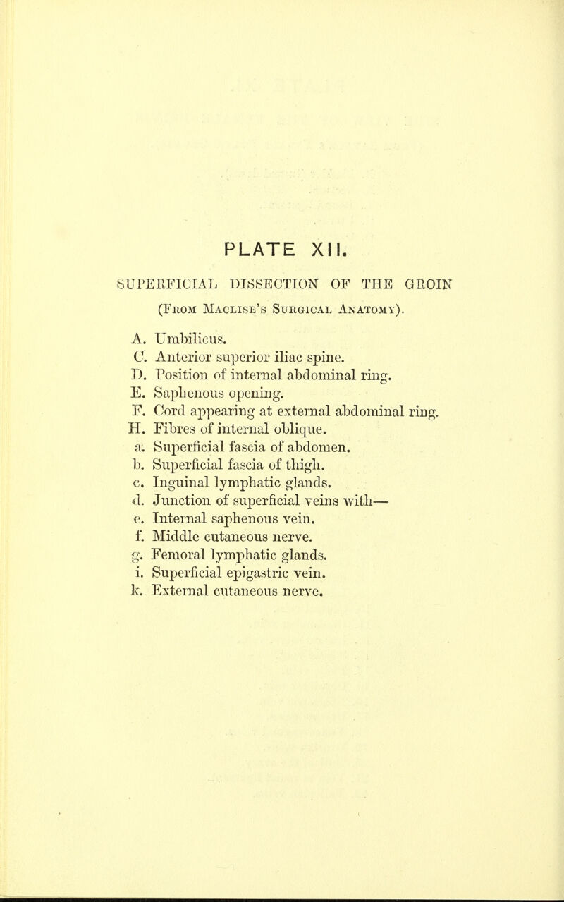 SUPERFICIAL DISSECTION OF THE GROIN (From Maclise's Suhgical Anatomy). A. Umbilicus. C. Anterior superior iliac spine. I). Position of internal abdominal ring. E. Saphenous opening. F. Cord appearing at external abdominal ring. H. Fibres of internal oblique. a. Superficial fascia of abdomen. b. Superficial fascia of thigh. c. Inguinal lymphatic glands. d. Junction of superficial veins with— e. Internal saphenous vein. f. Middle cutaneous nerve. g. Femoral lymphatic glands, i. Superficial epigastric vein, k. External cutaneous nerve.